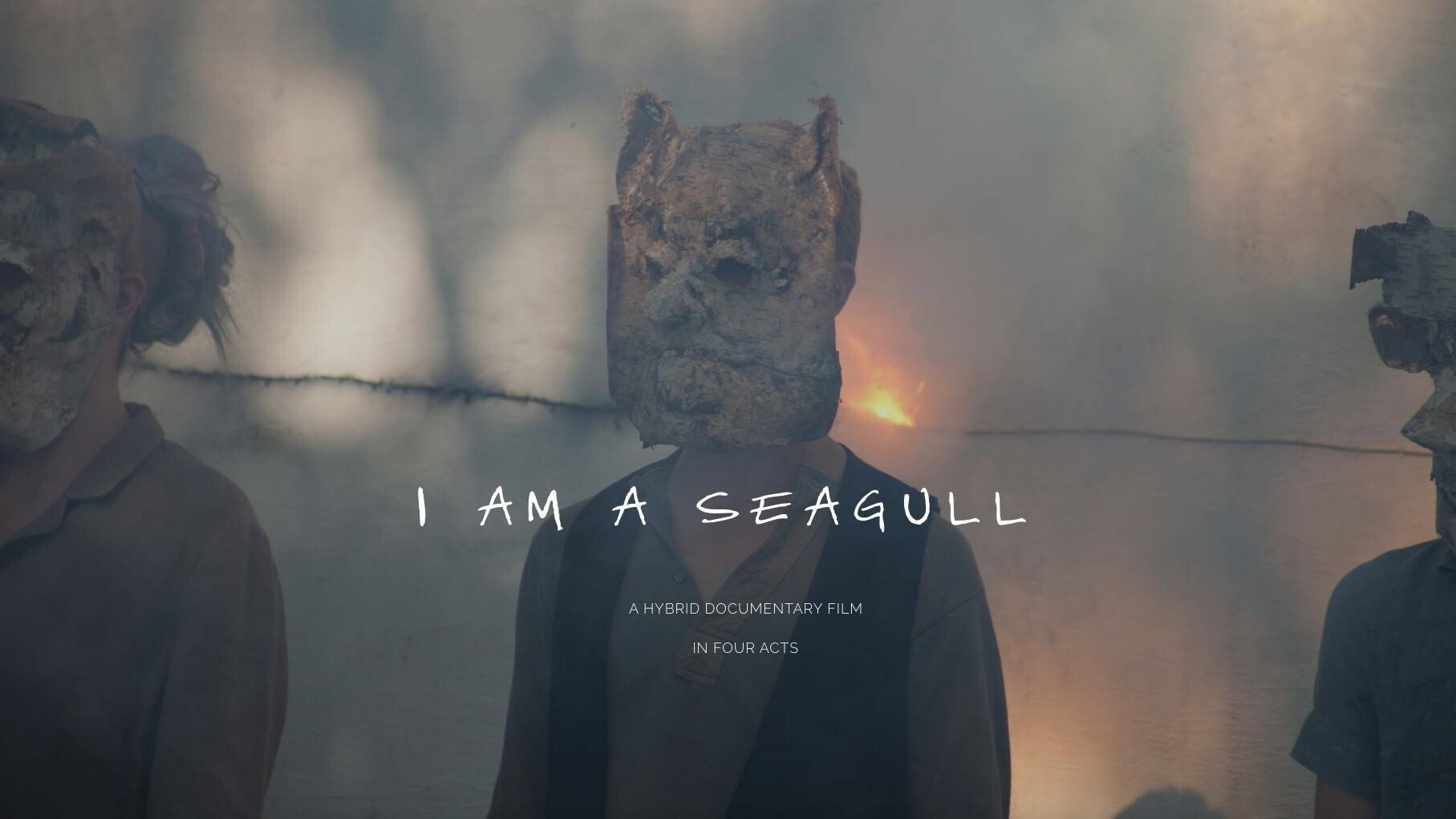 I Am a Seagull's poster