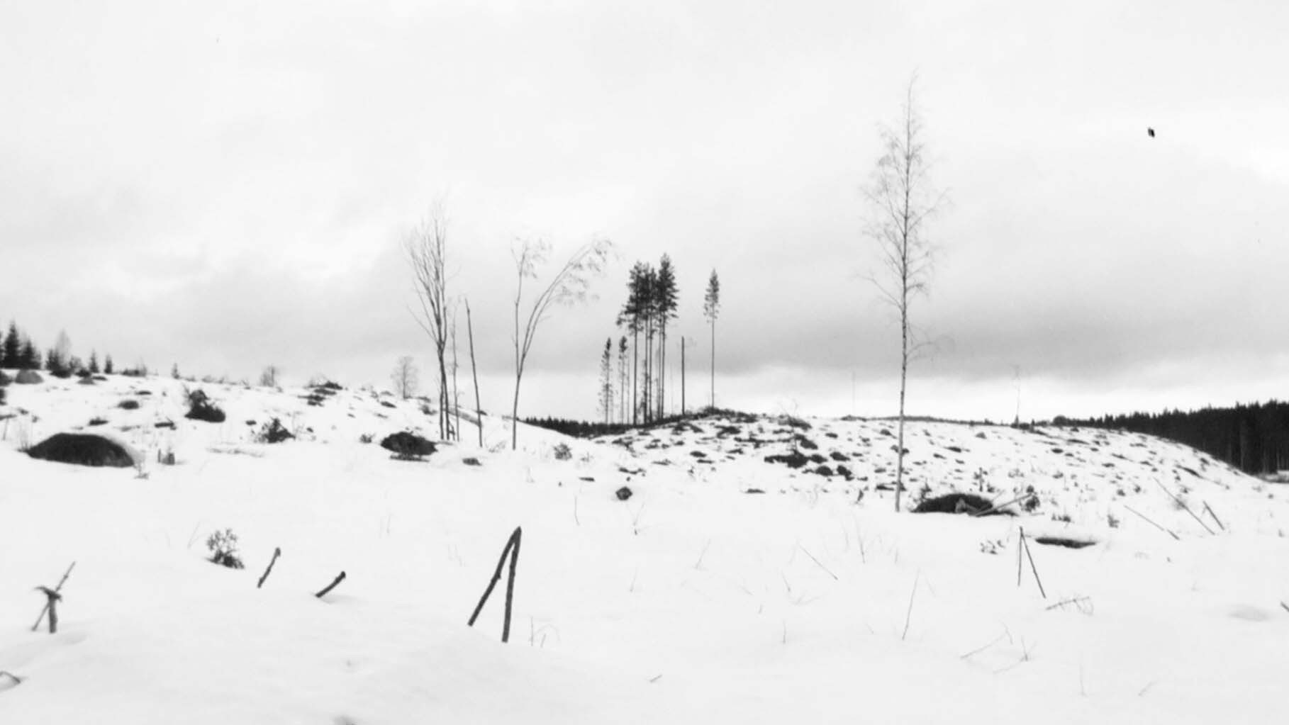 Winterreise's poster