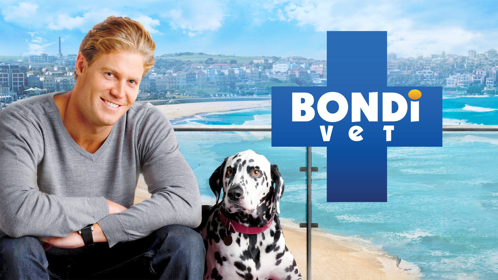 Bondi Vet's poster