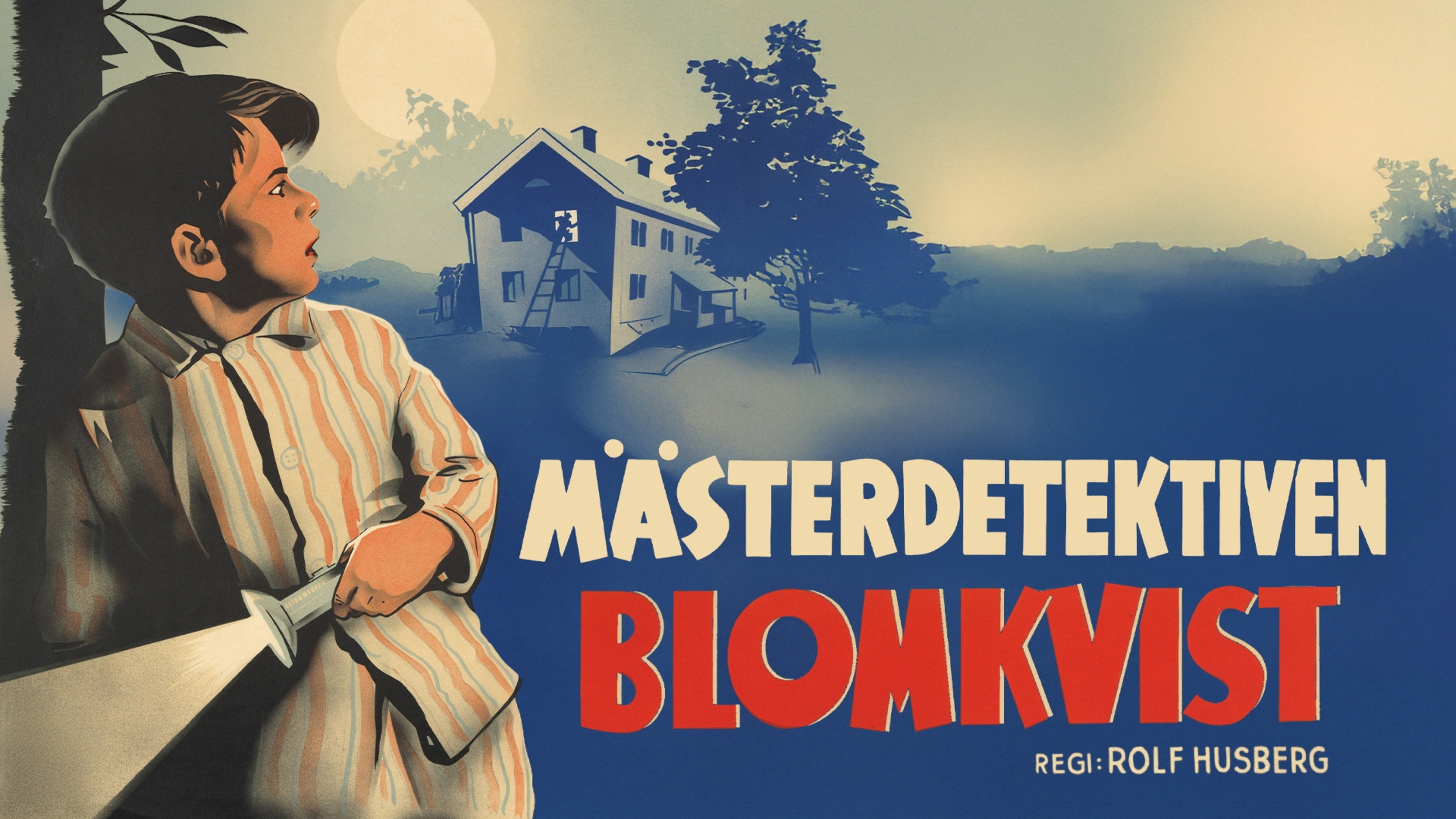 Master Detective Blomkvist's poster