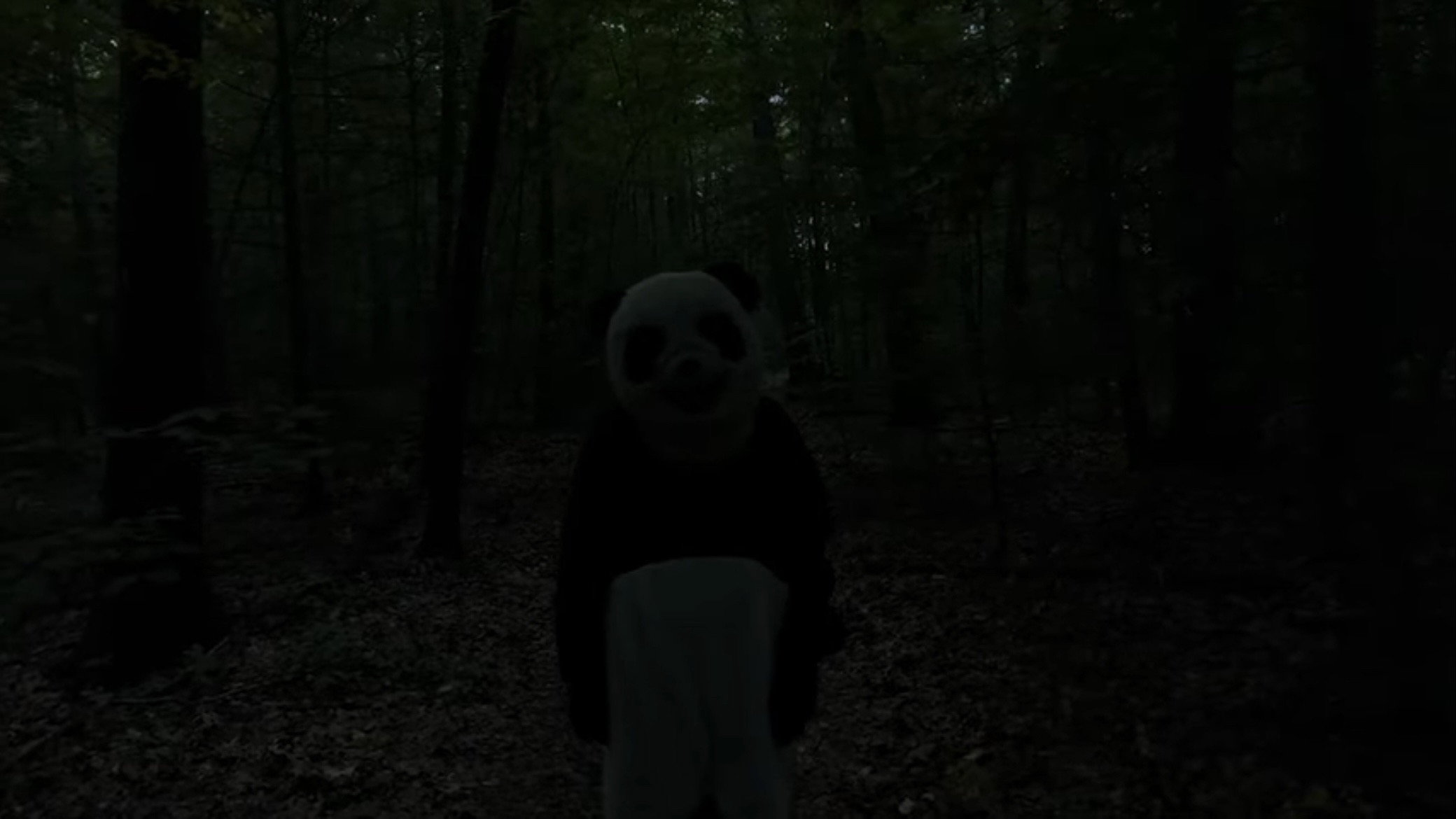 The Wild Panda's poster
