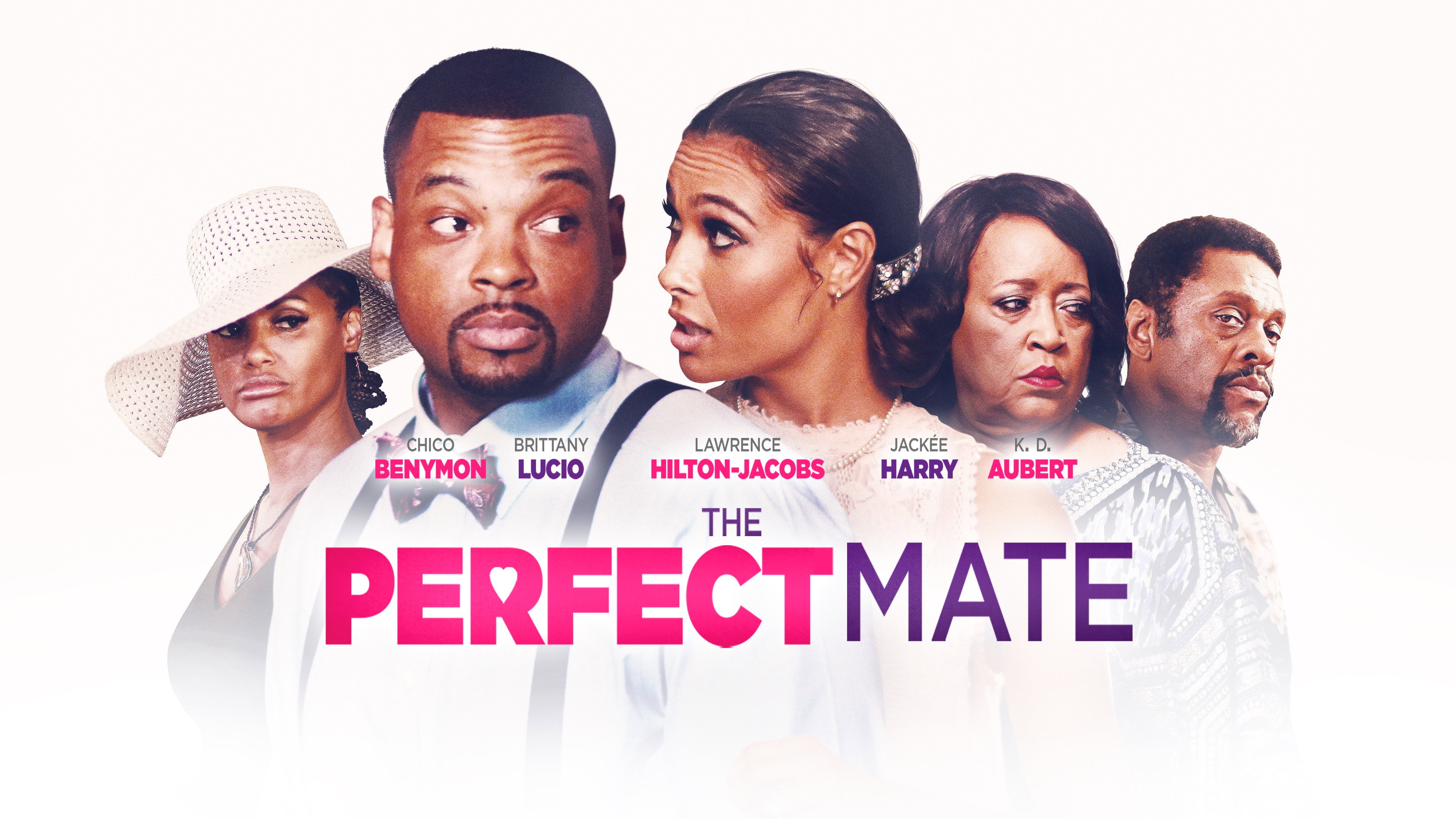 The Perfect Mate's poster
