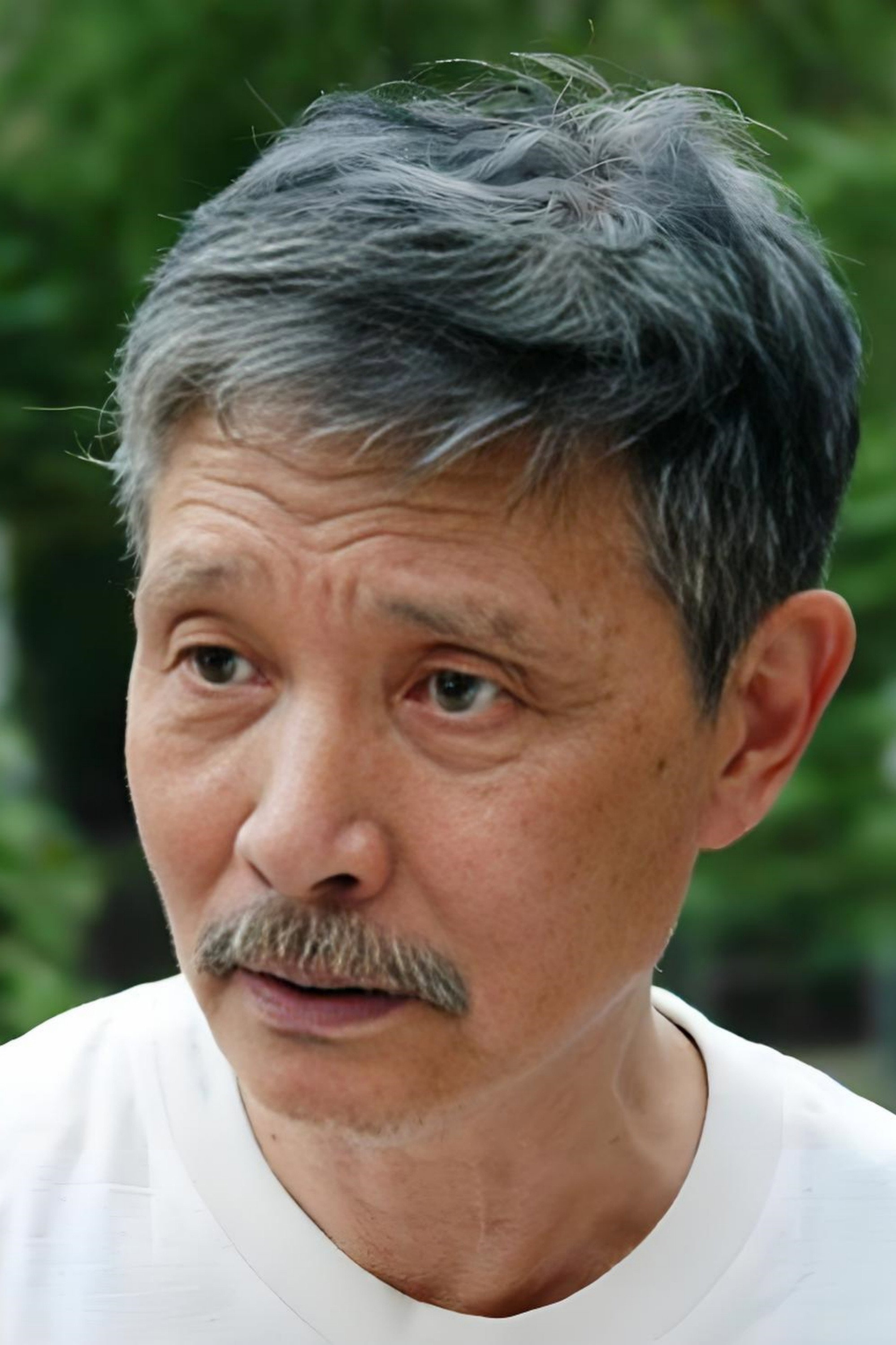 Lian Shuliang's poster
