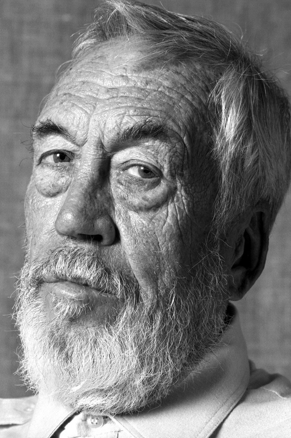 John Huston's poster