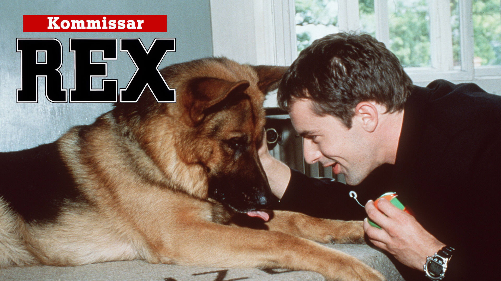 Inspector Rex's poster
