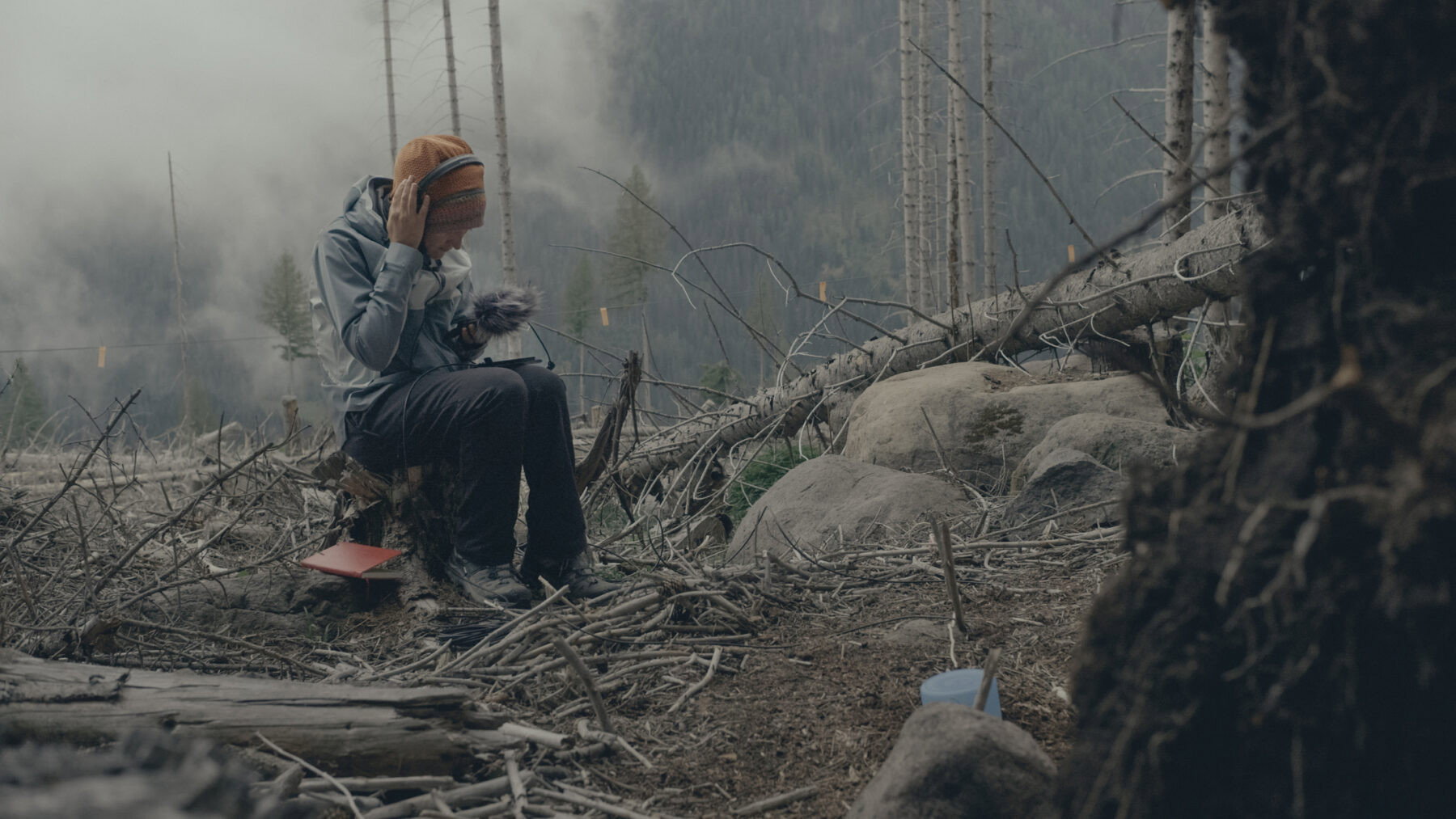Il codice del bosco's poster