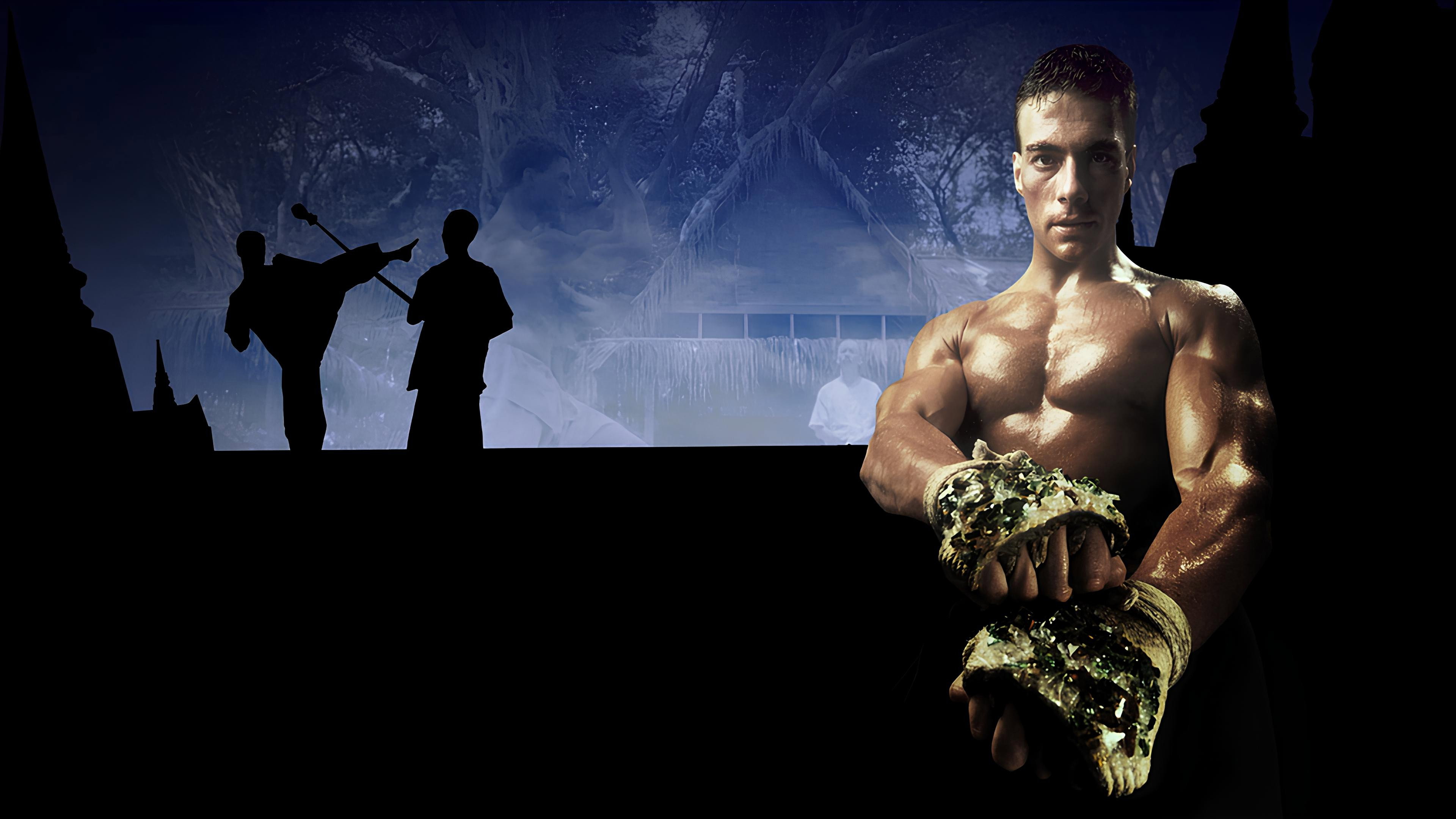 Kickboxer's poster