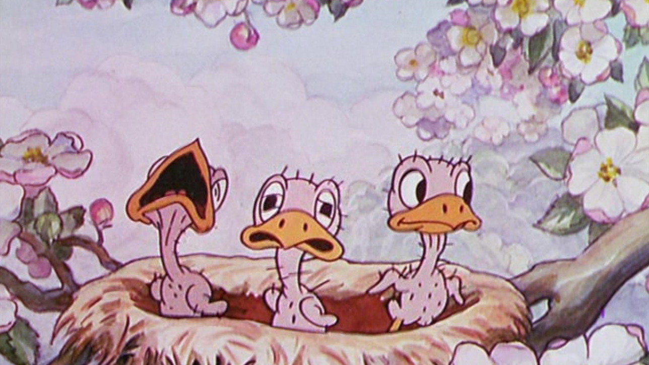 Birds in the Spring's poster