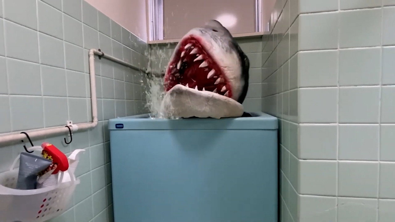 Ring Shark's poster