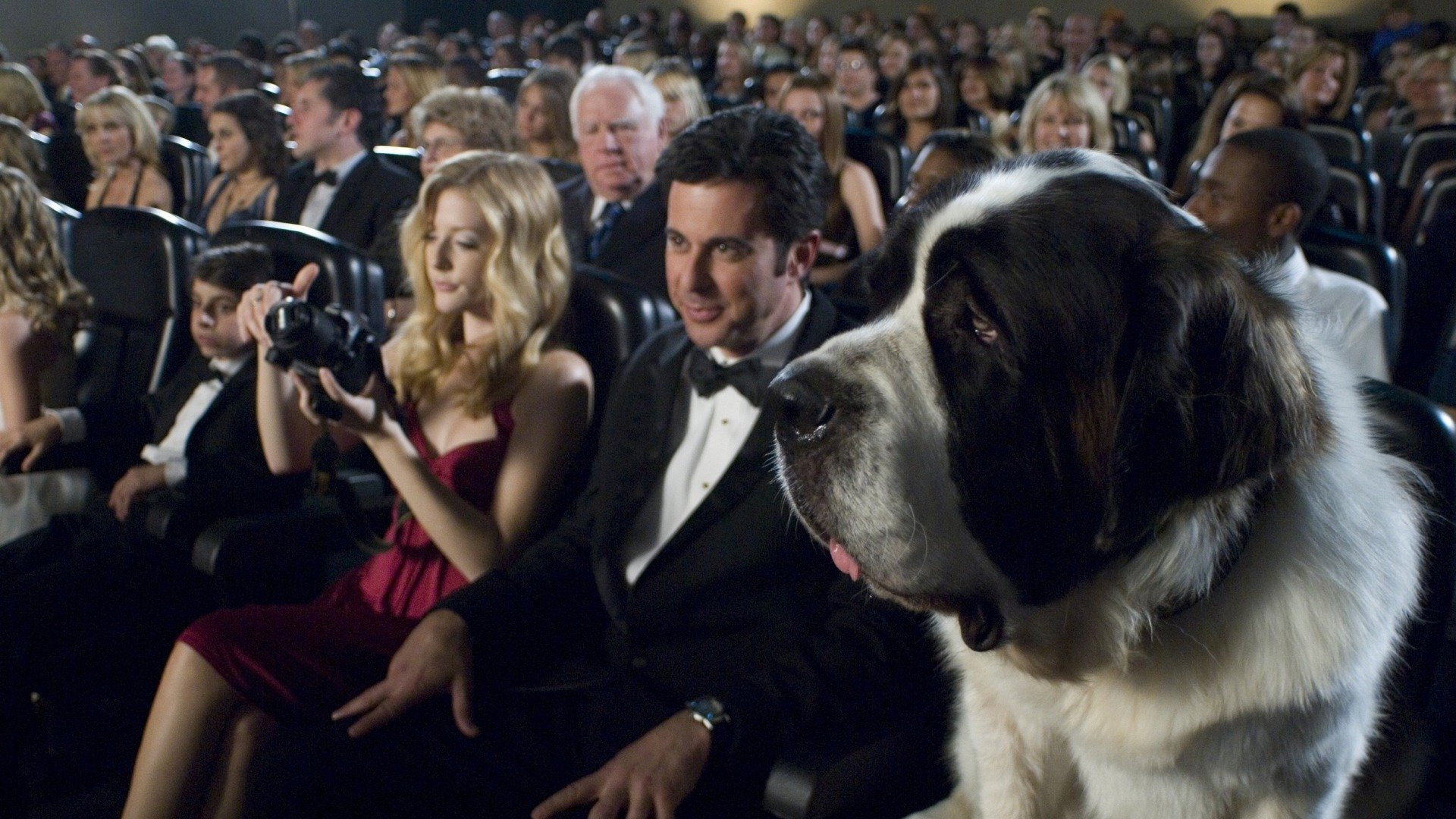 Beethoven's Big Break's poster
