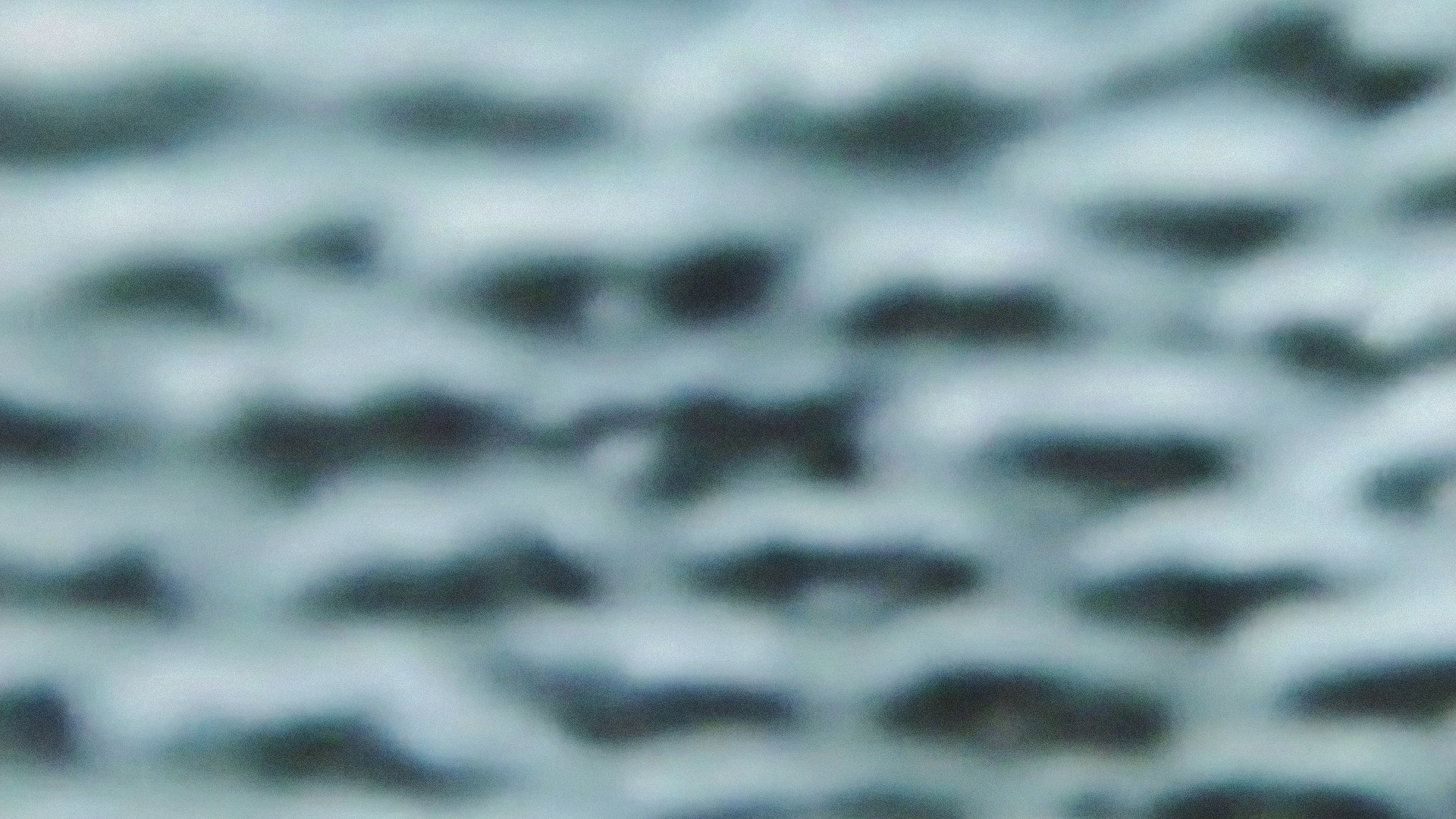 The Wind's poster
