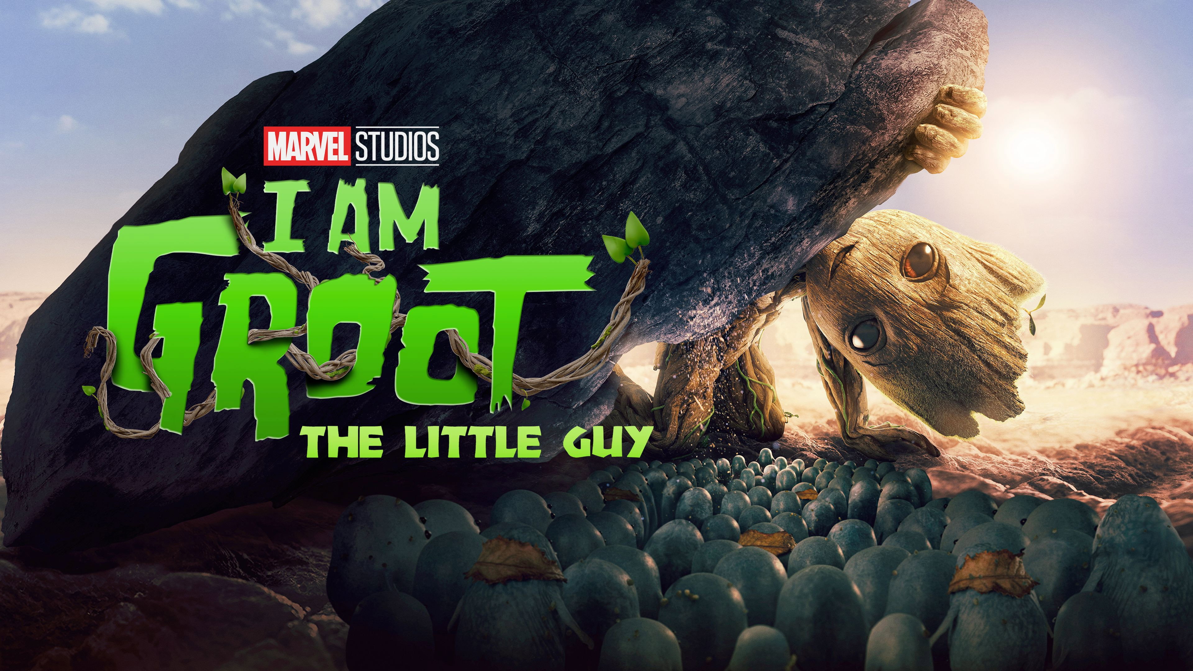 The Little Guy's poster