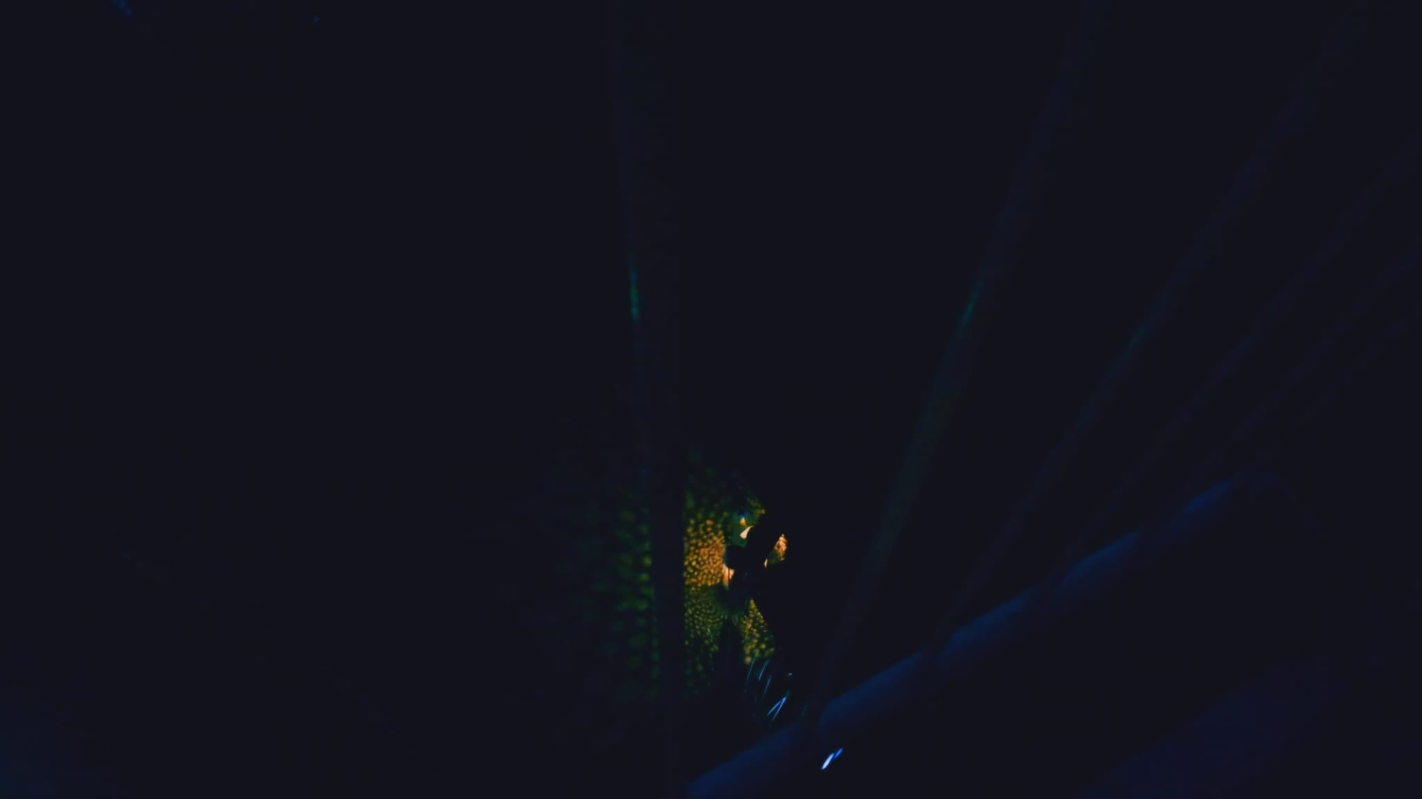 shadows scare me's poster
