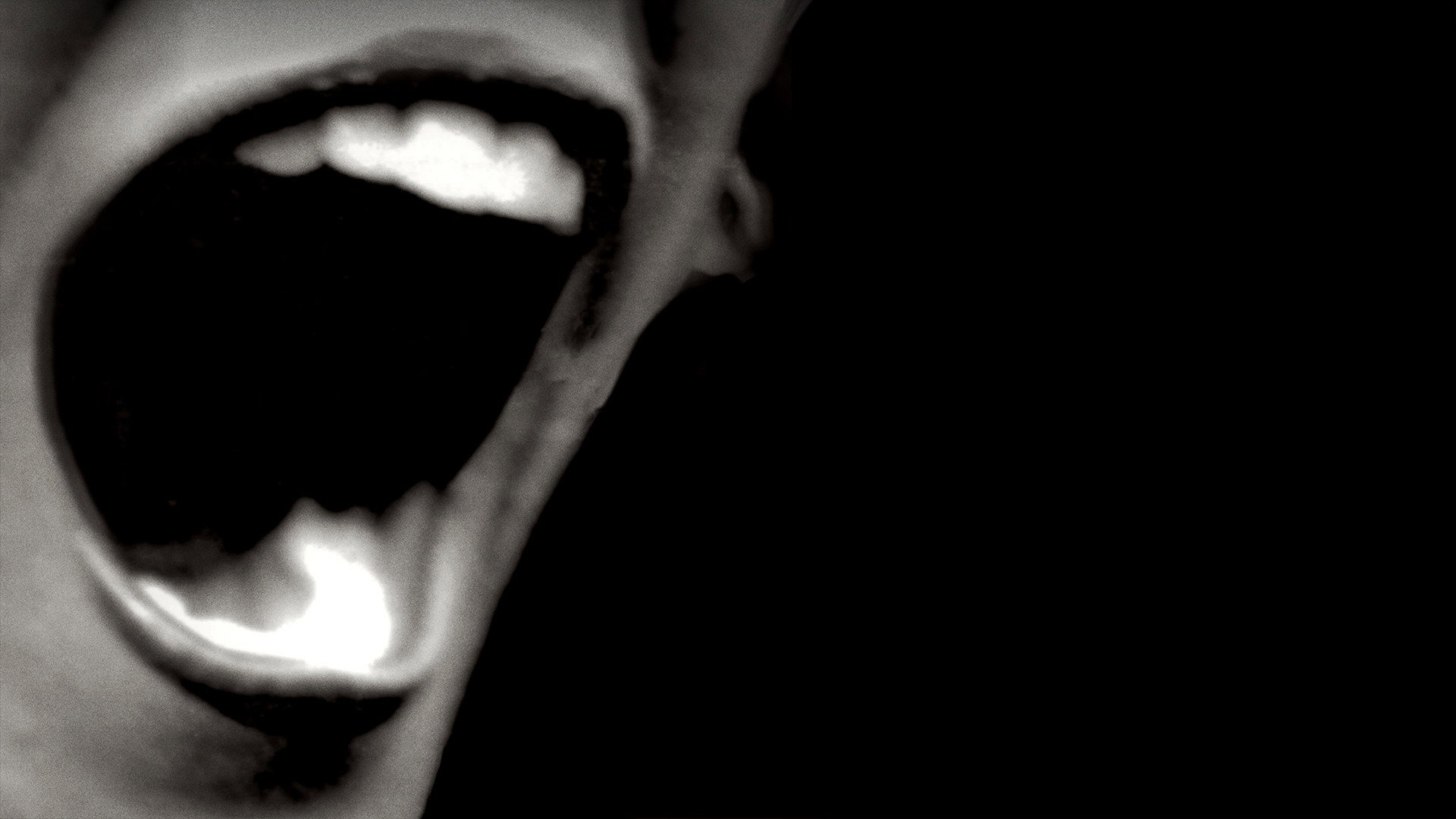 Silent Scream's poster