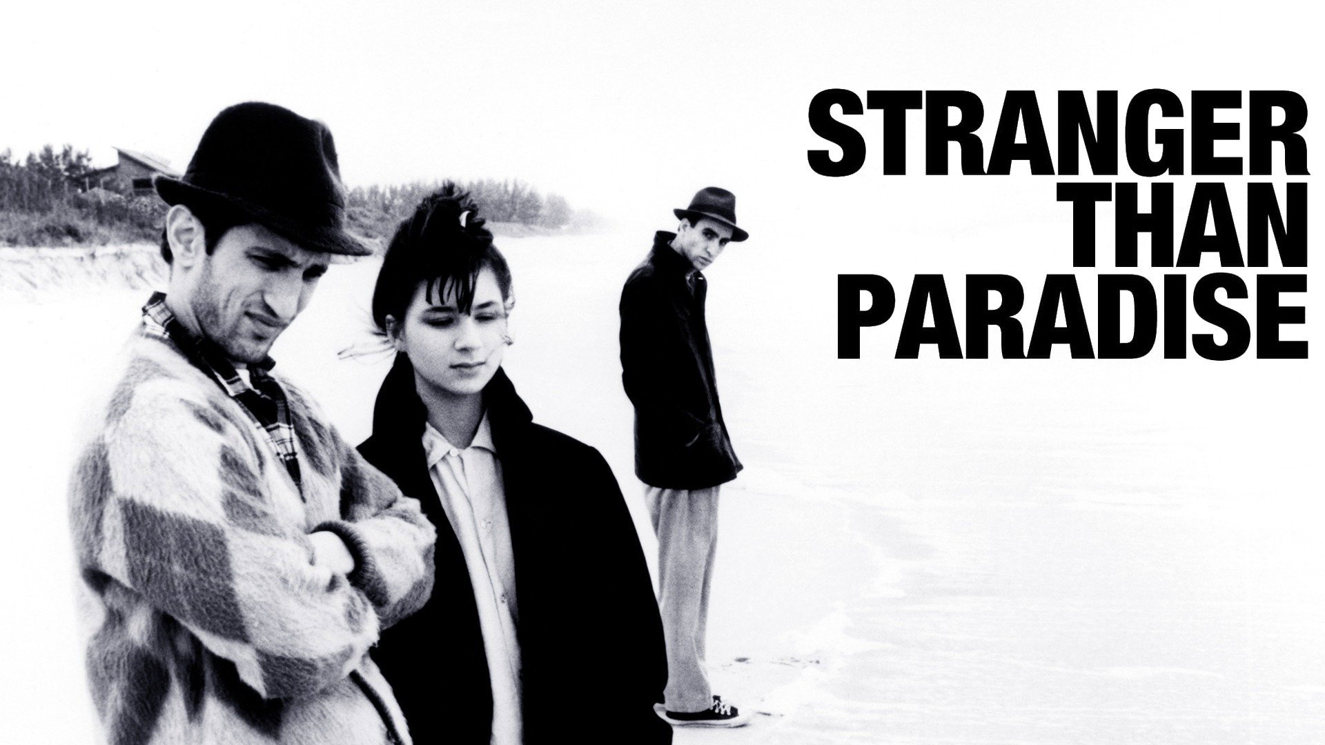 Stranger Than Paradise's poster