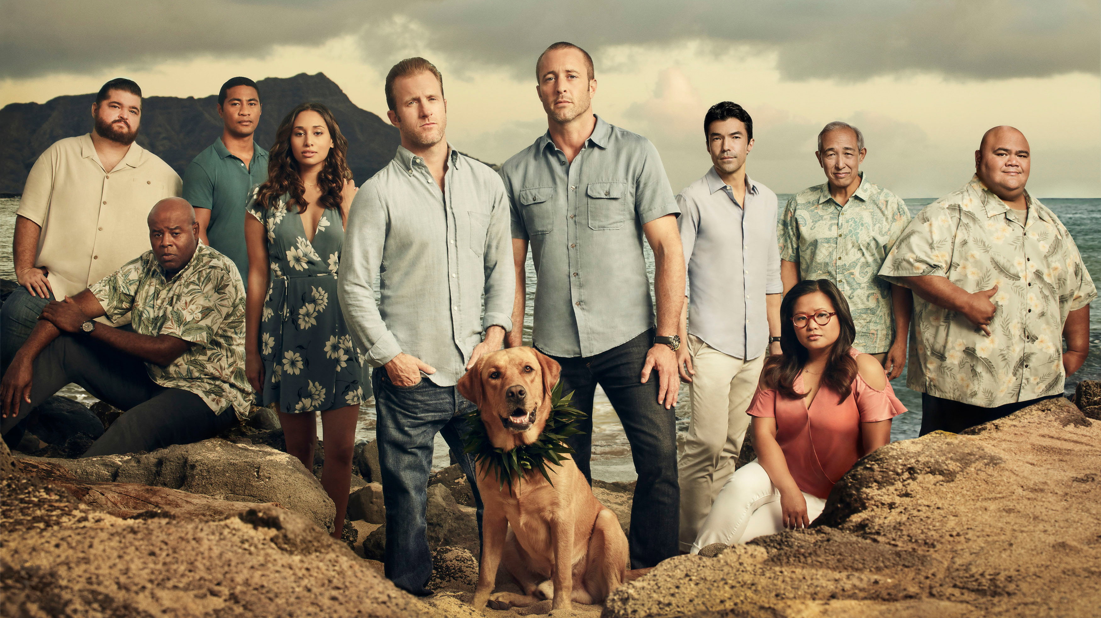 Hawaii Five-0's poster