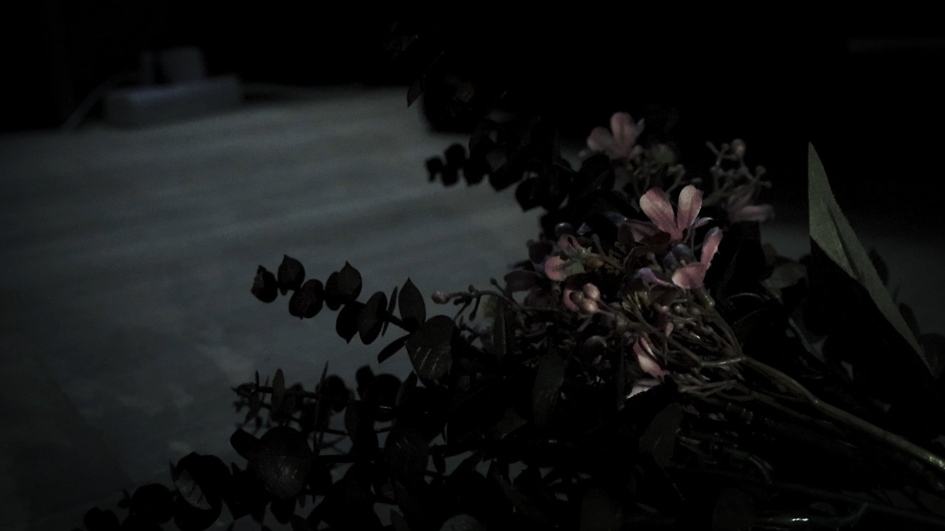 The Flower's poster