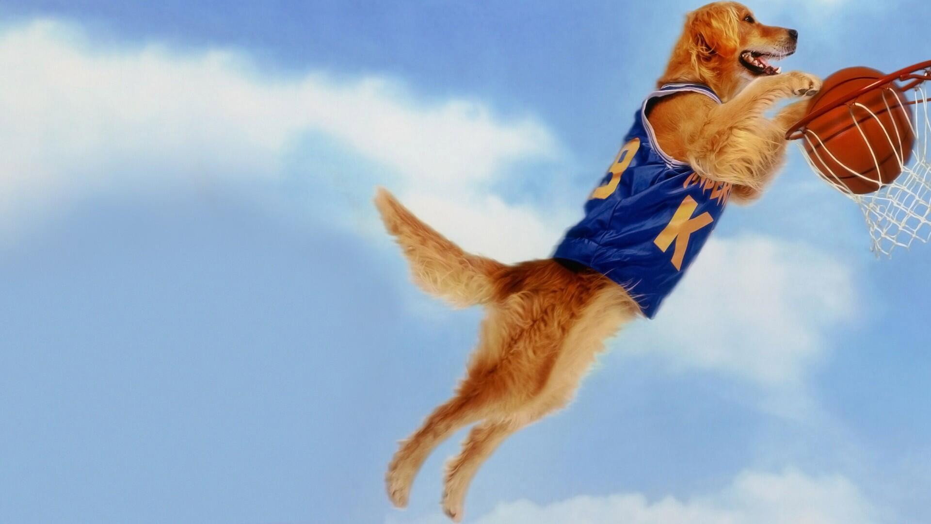 Air Bud's poster