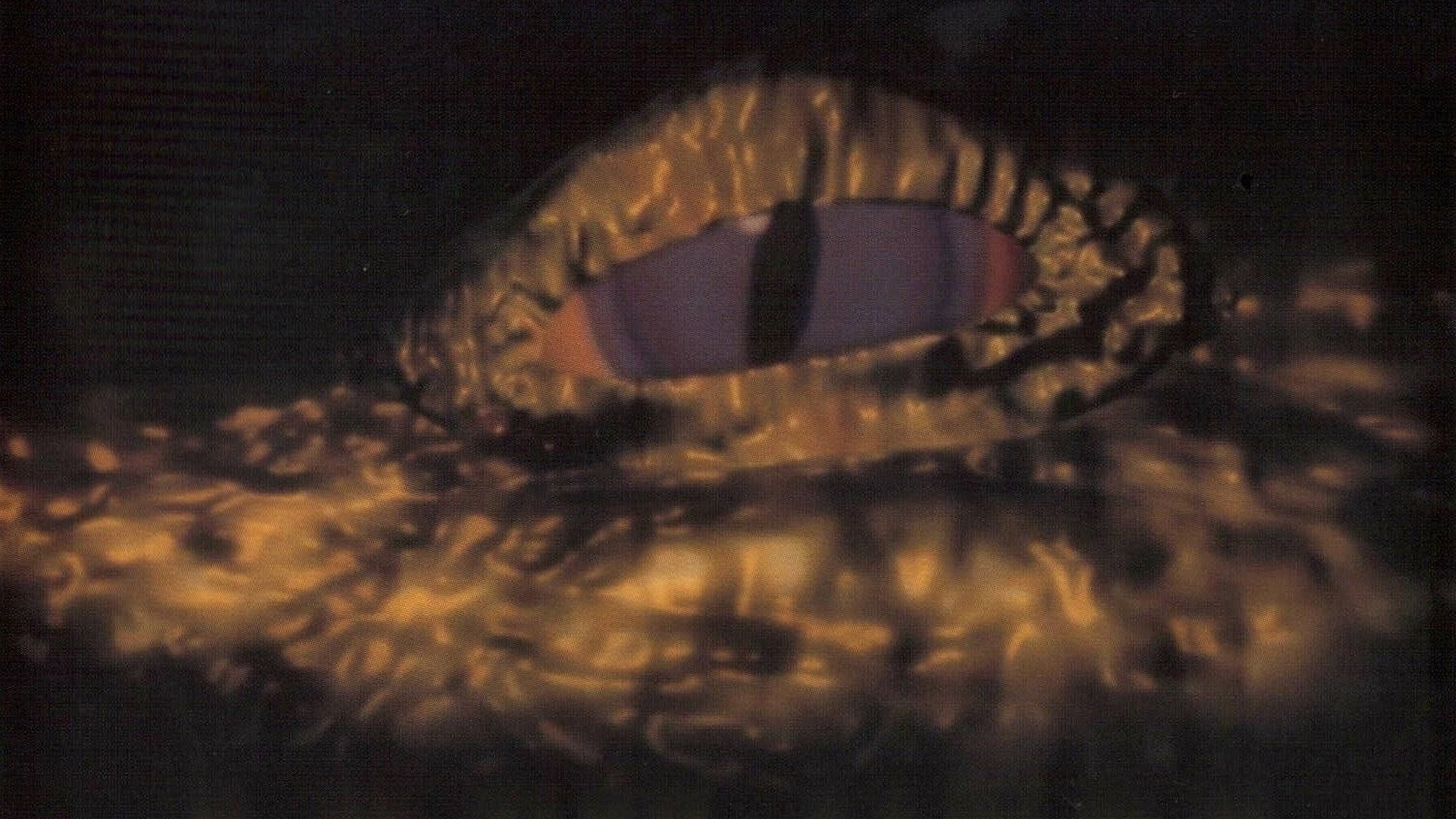 Beneath Loch Ness's poster