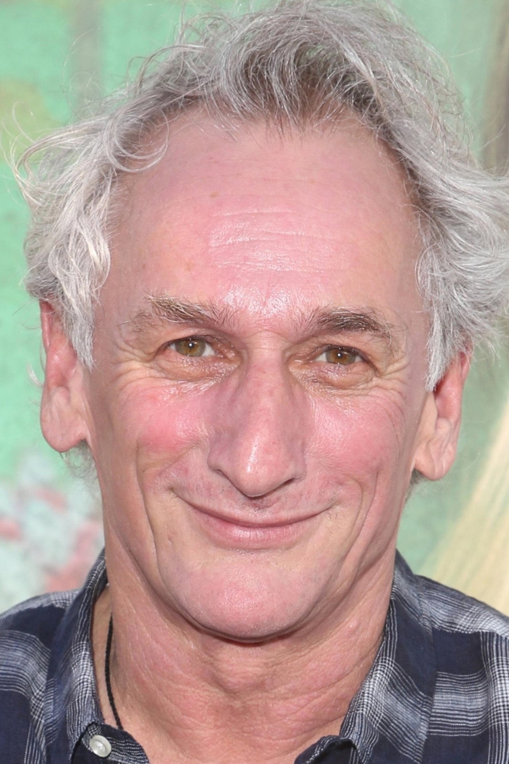 Matt Craven's poster