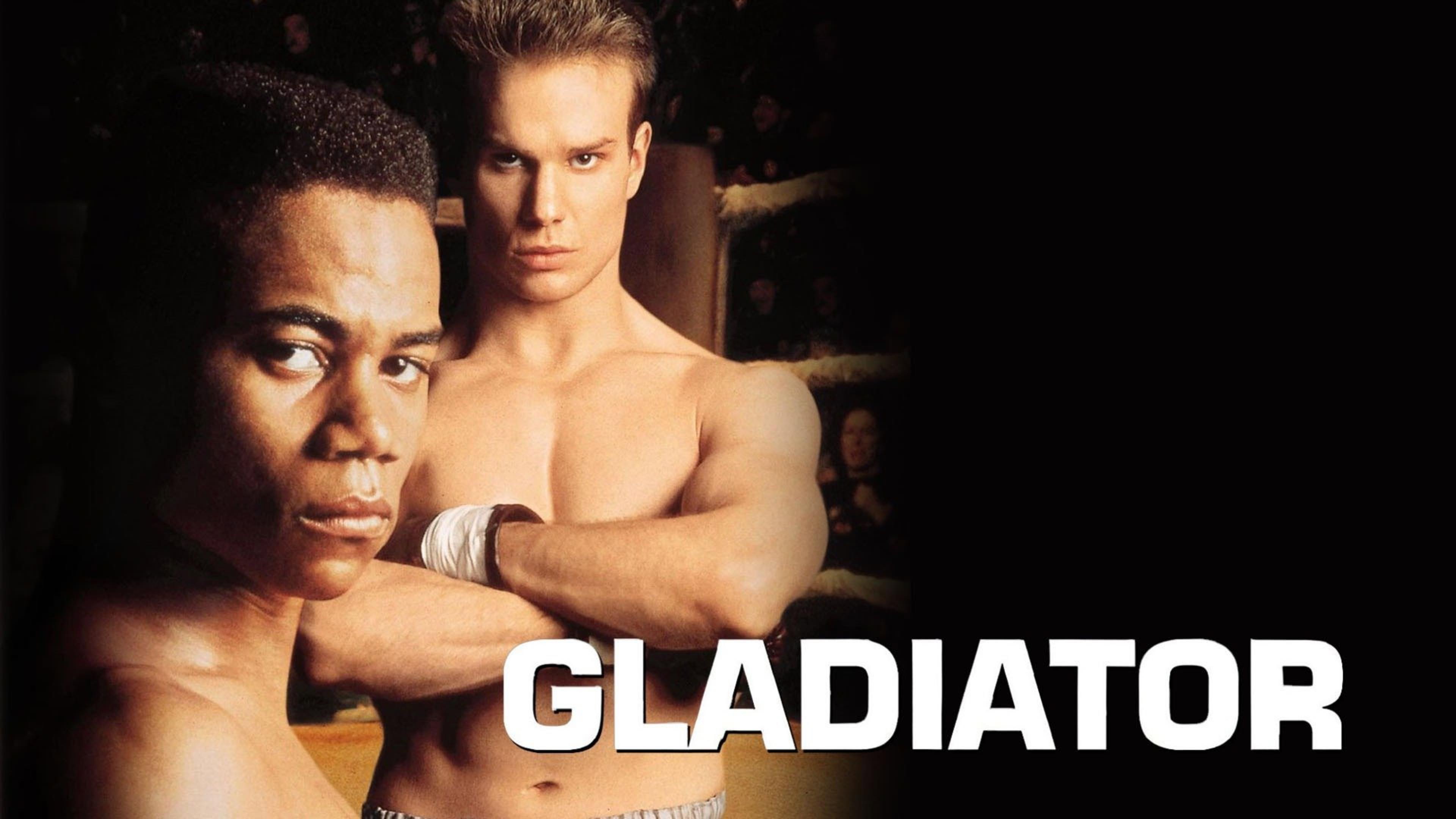 Gladiator's poster