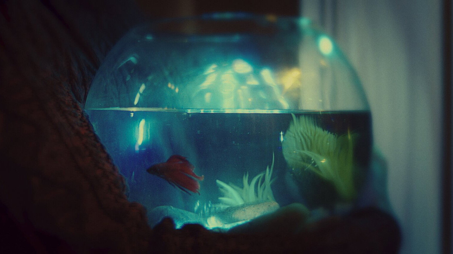 Betta's poster