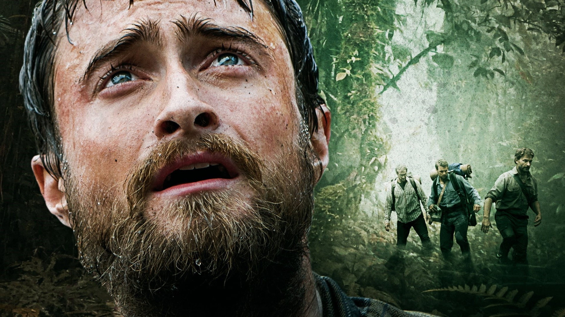 Jungle's poster