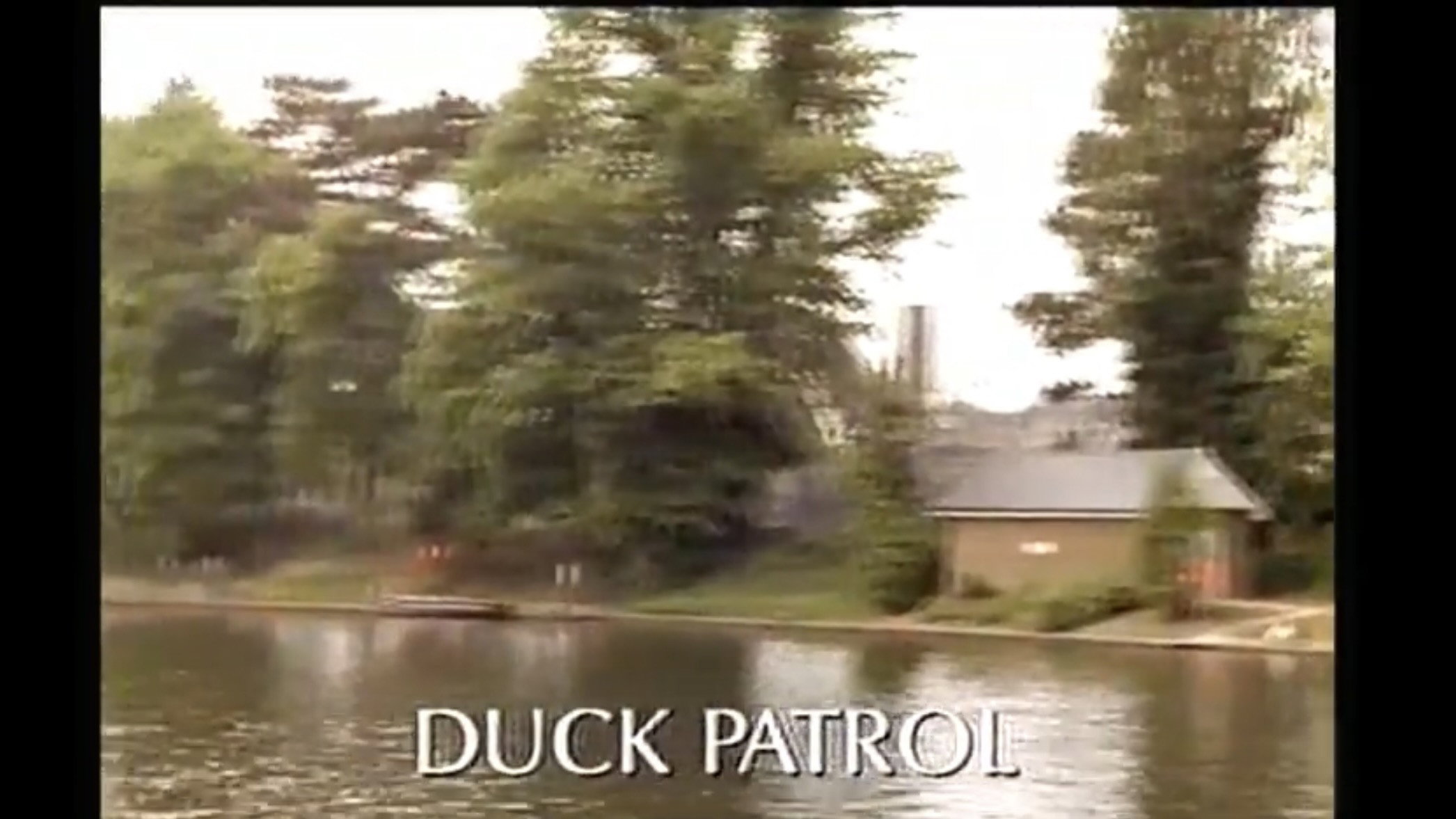 Duck Patrol's poster