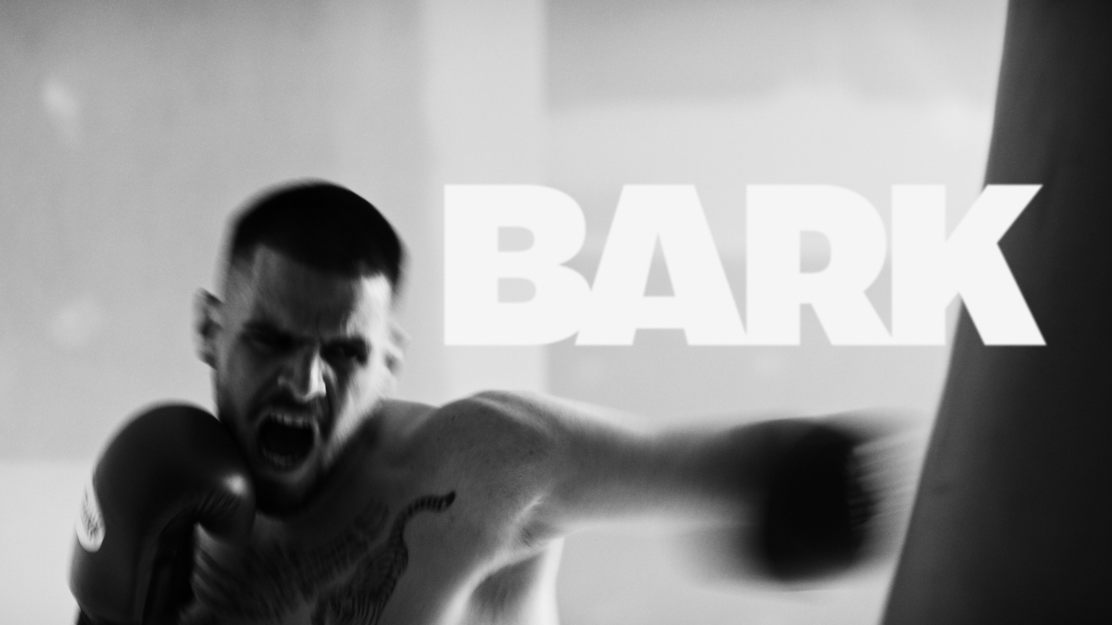 "Bark"'s poster