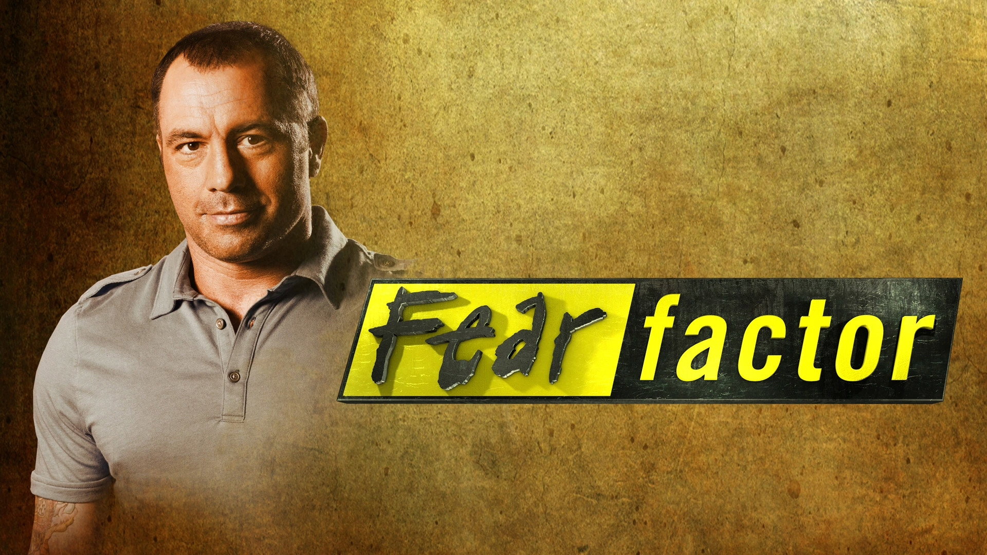 Fear Factor's poster