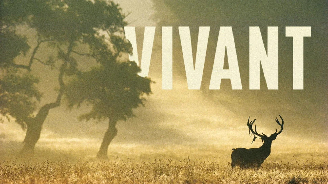 Vibrant's poster