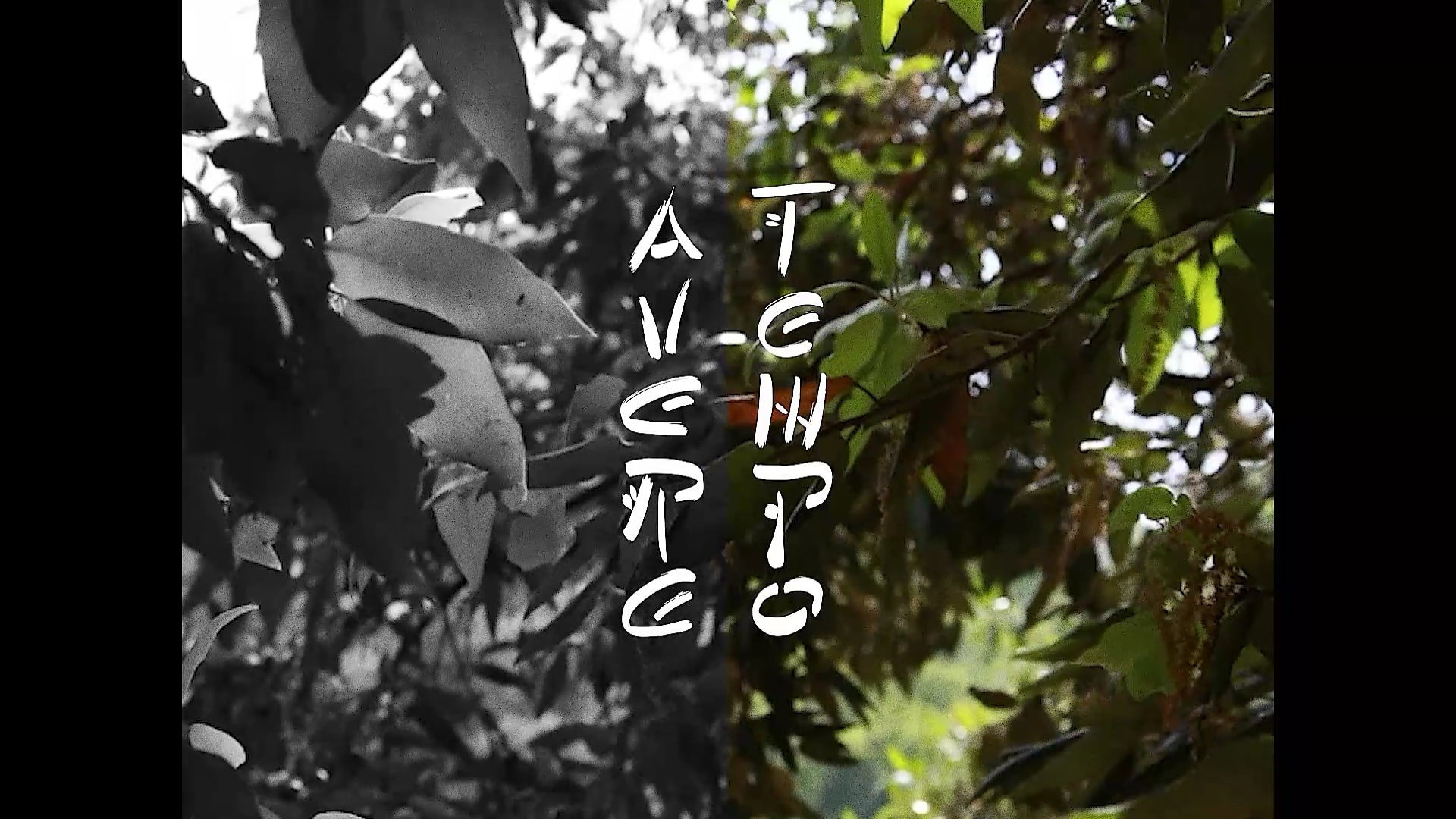 AVERE TEMPO's poster