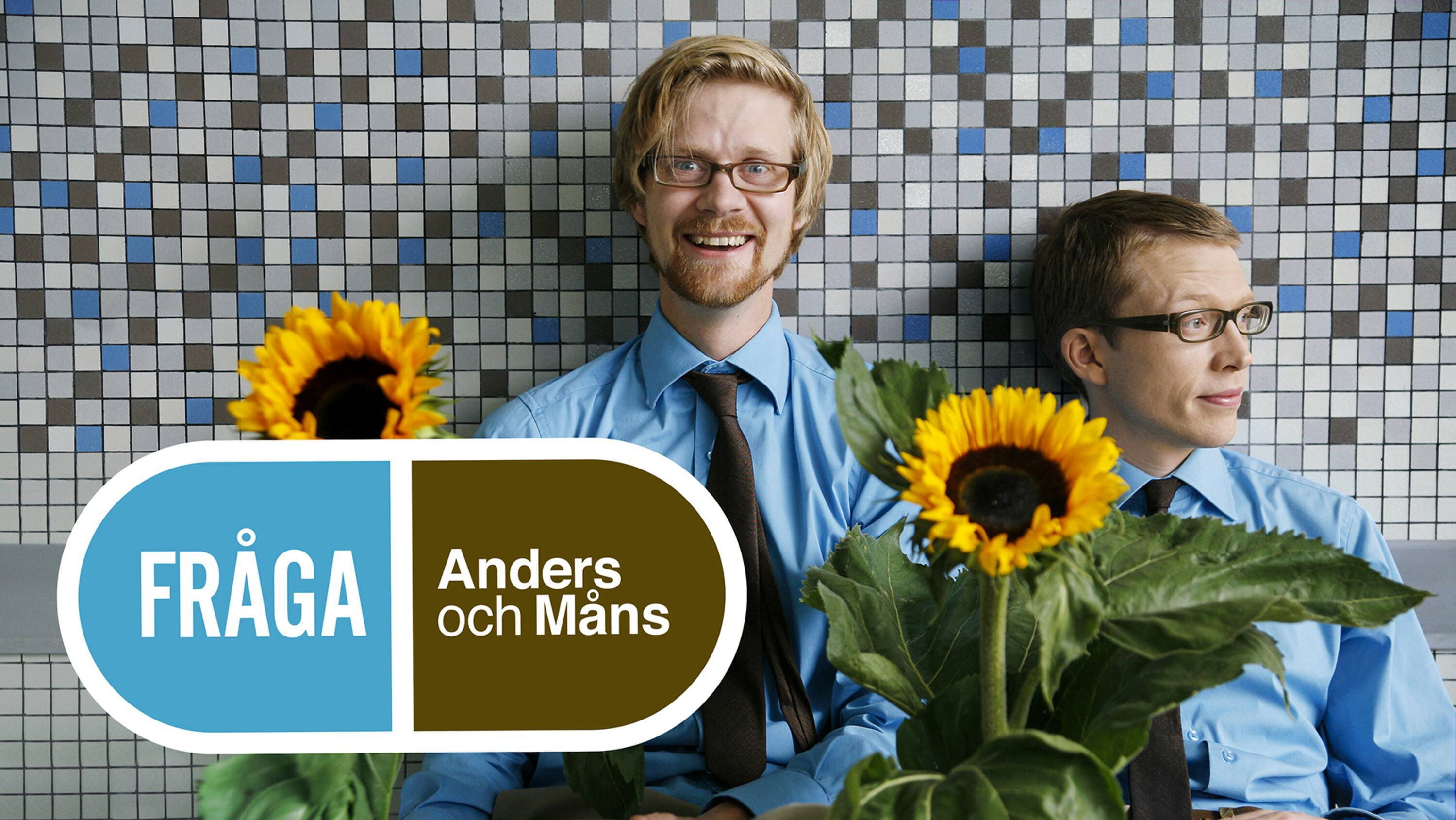 Fråga Anders och Måns's poster