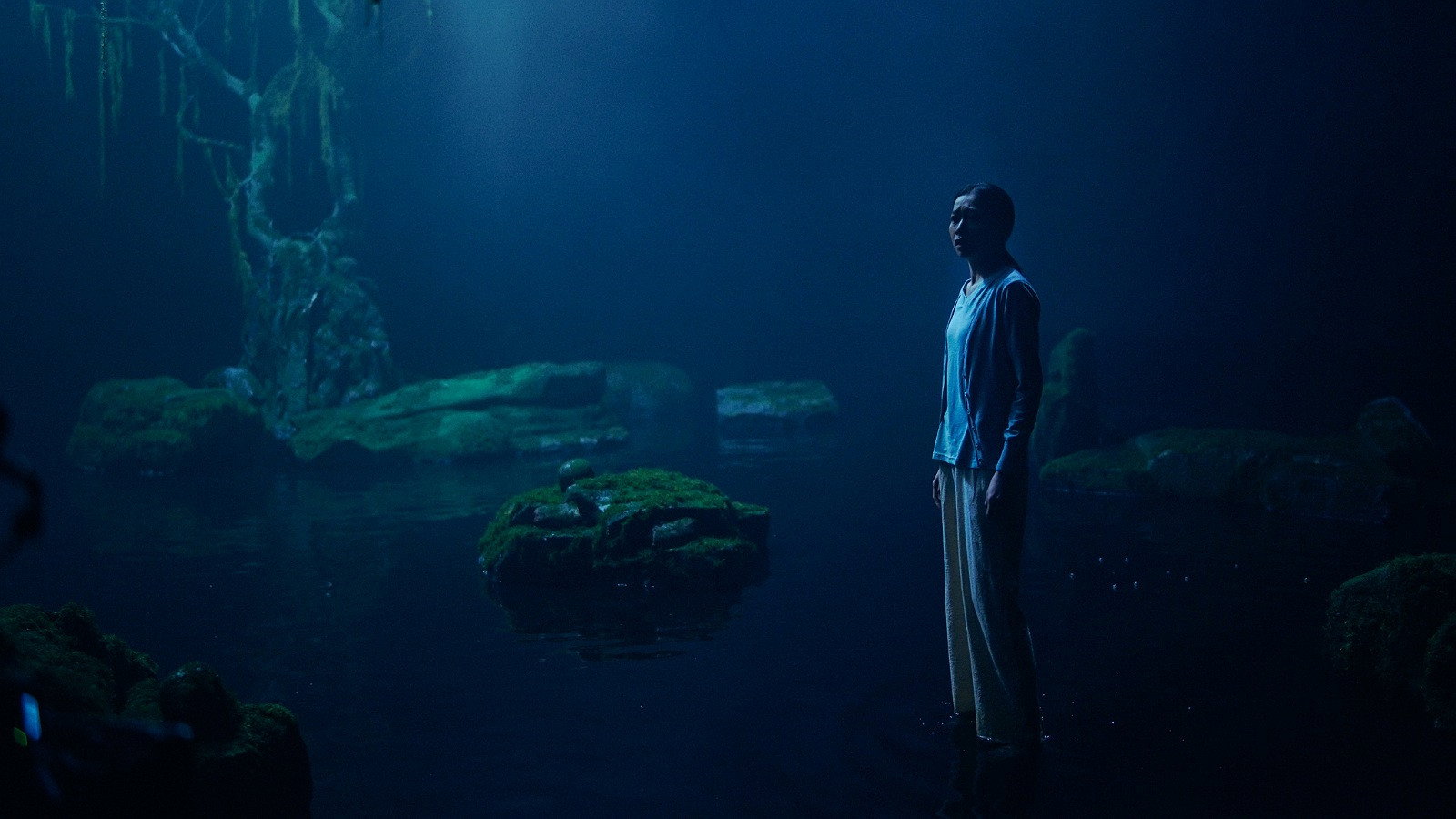 The Lake's poster