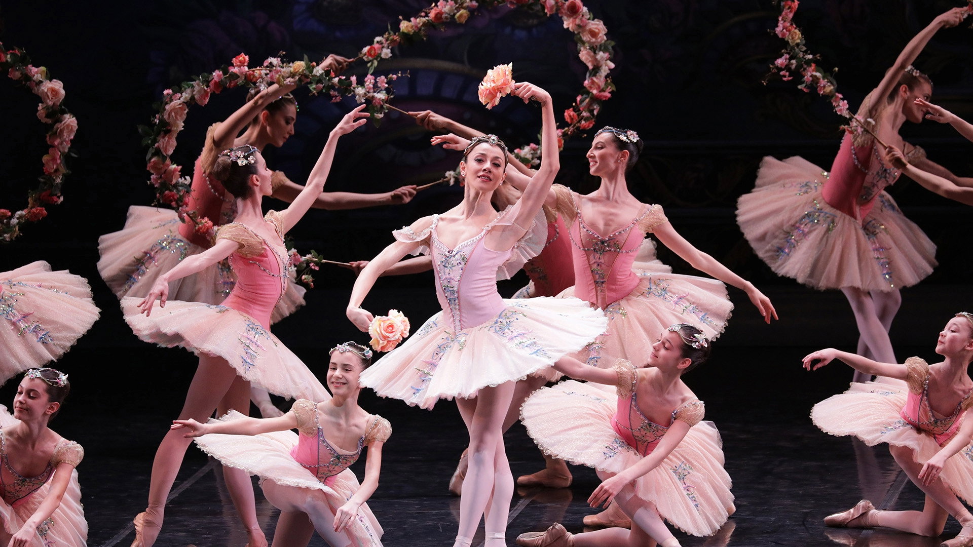 Le Corsaire's poster