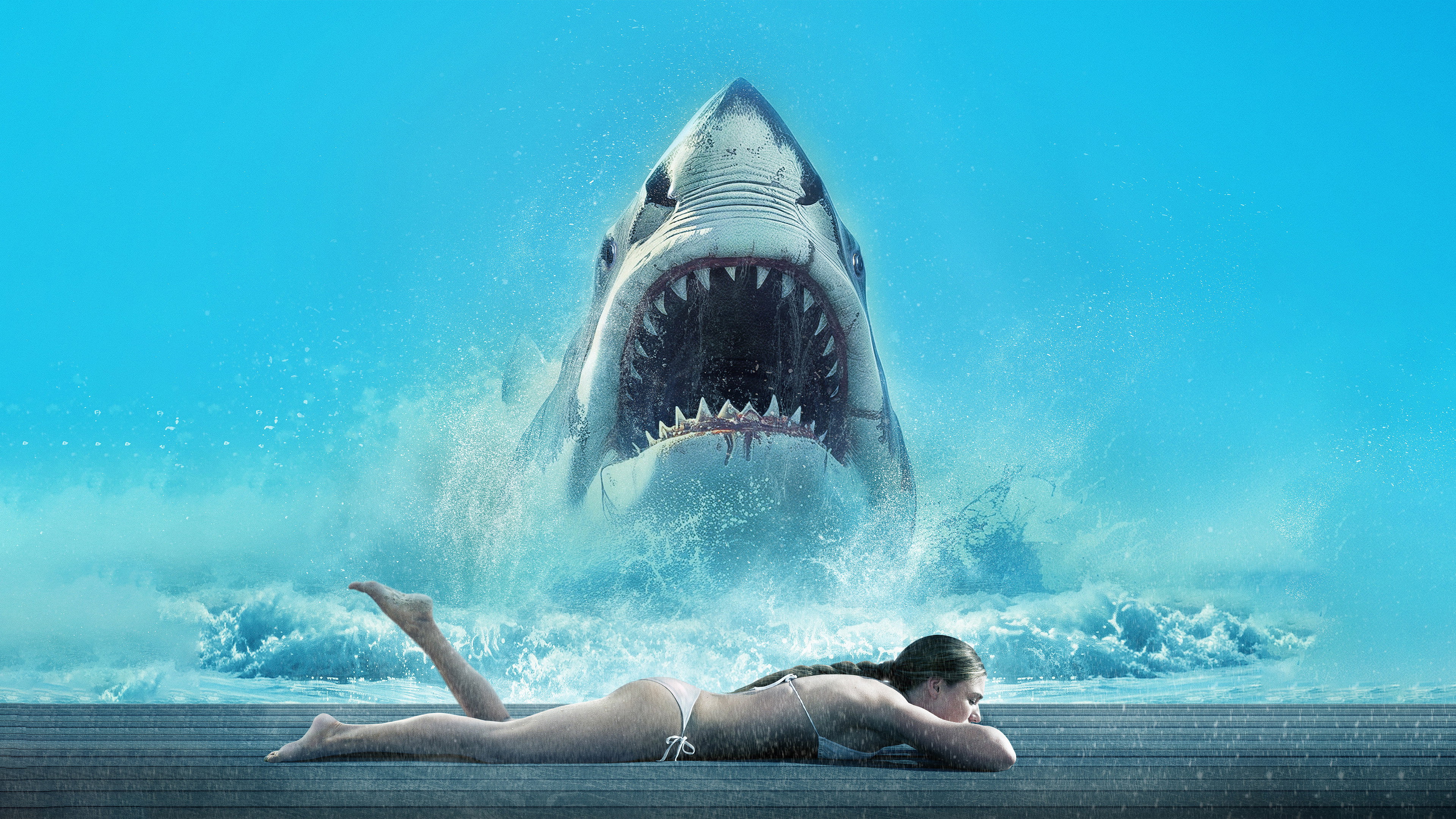 Shark Warning's poster