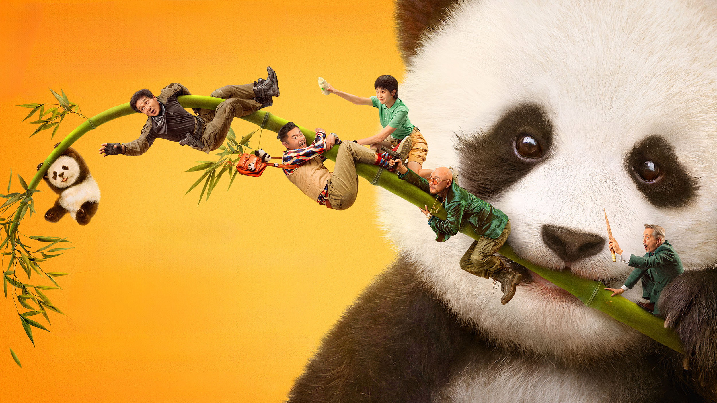 Panda Plan's poster