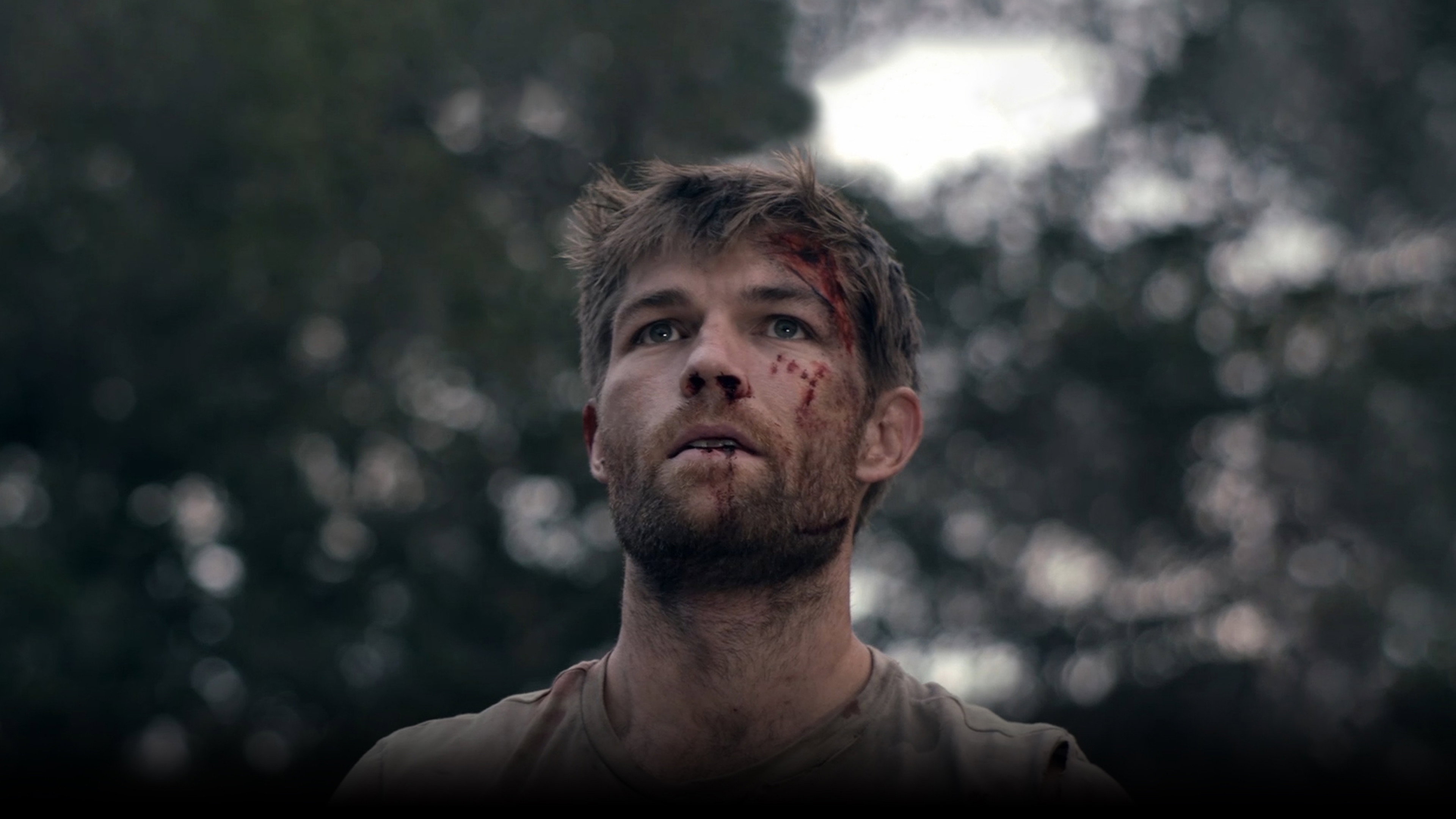 The Clearing's poster