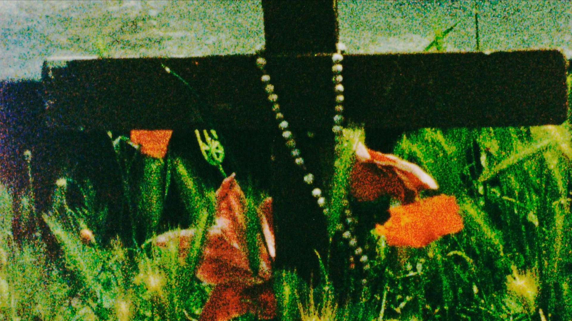 The Cradle's poster