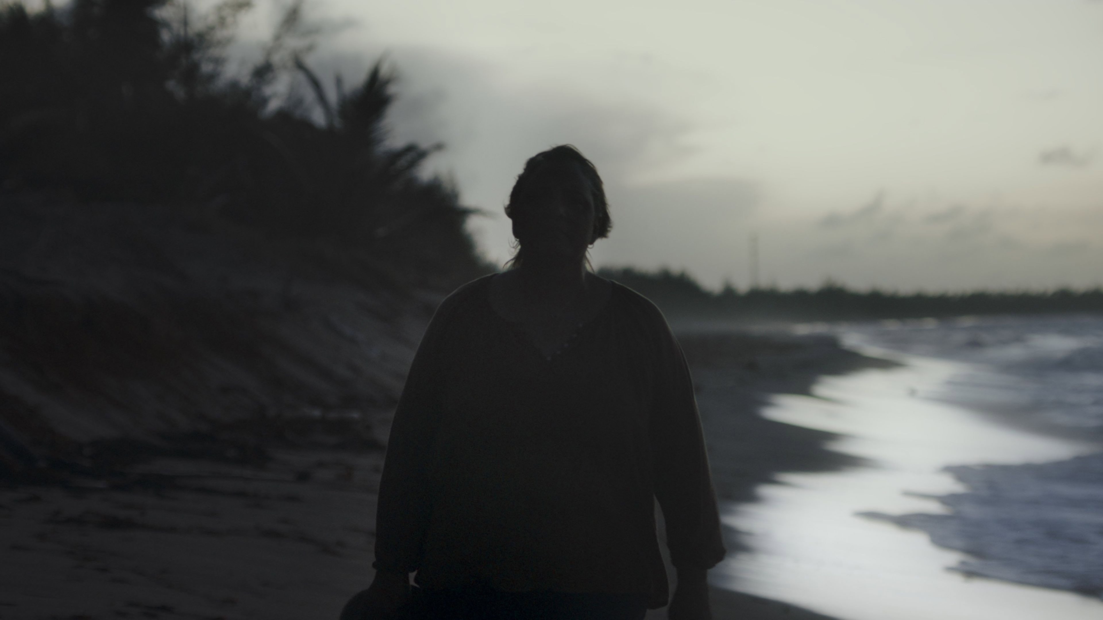 The Waves Call You's poster