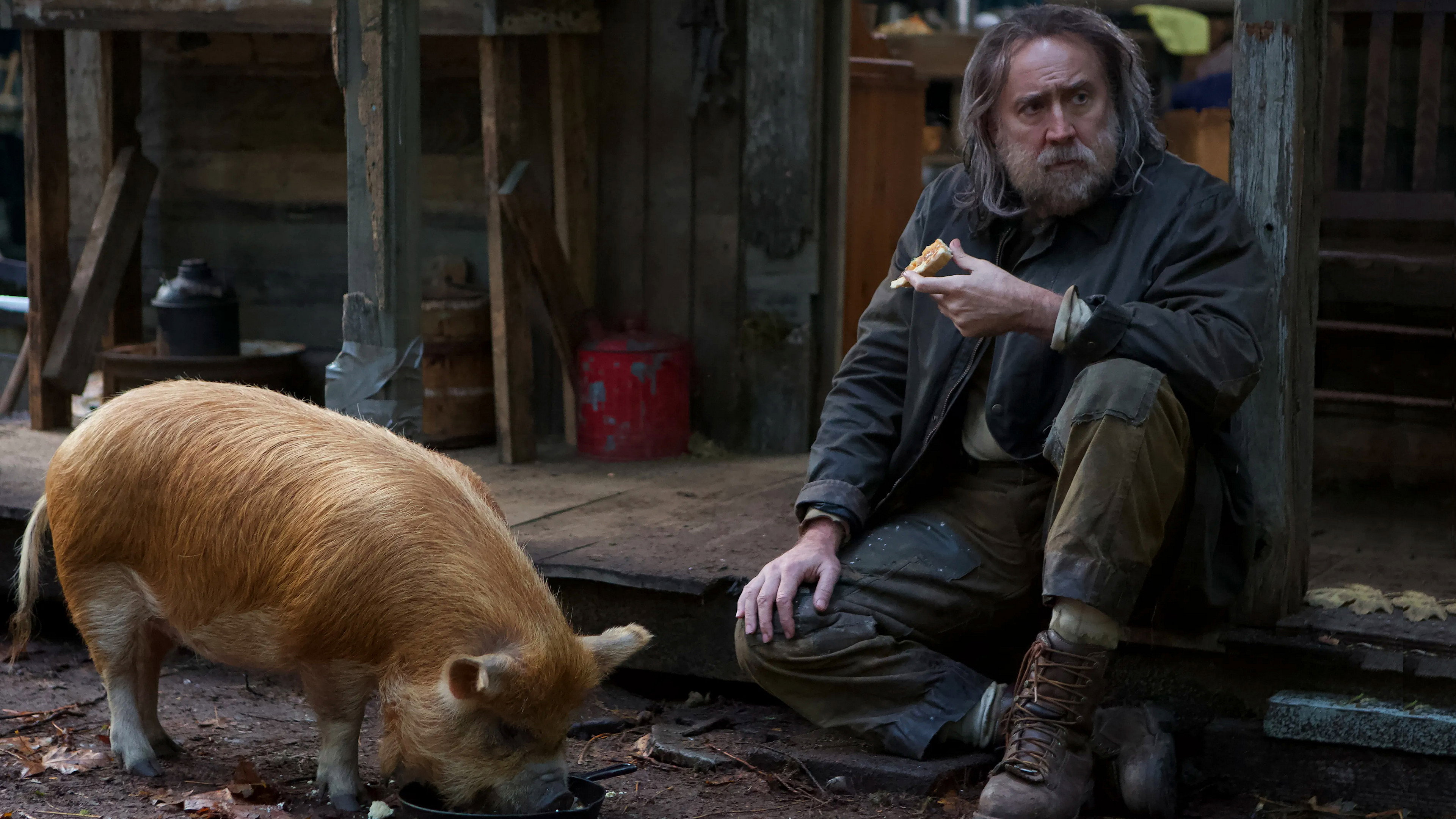Pig's poster