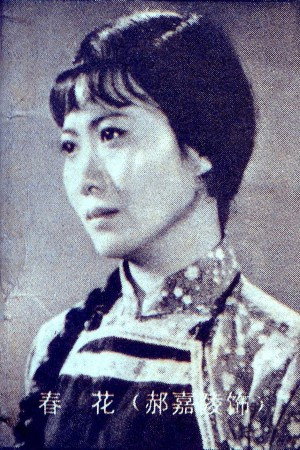 Jialing Hao's poster