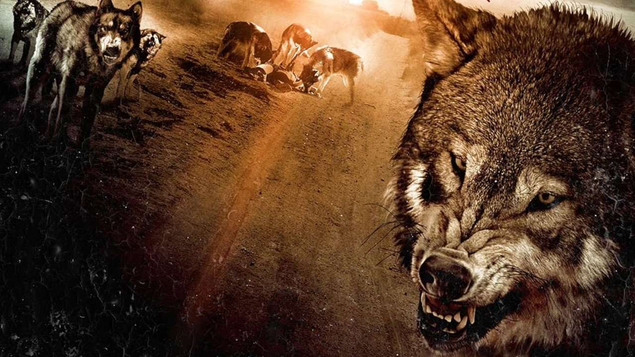 Wolf Town's poster