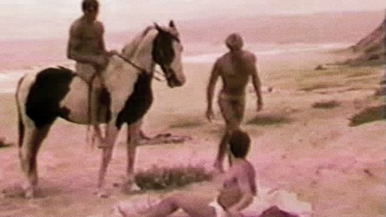 Pegasus's poster