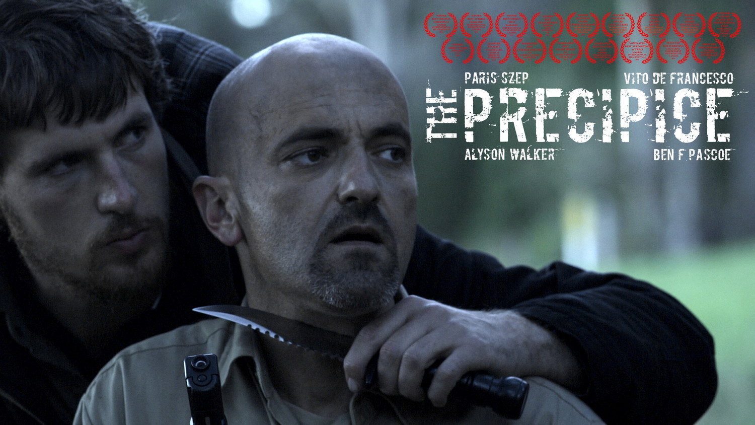 The Precipice's poster