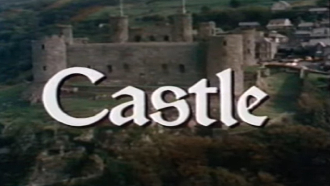 David Macaulay: Castle's poster