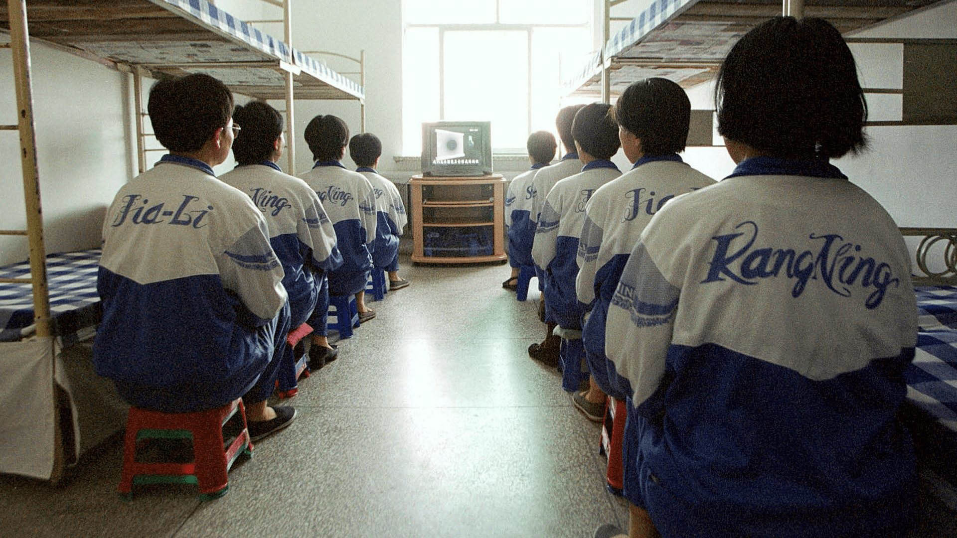 Laogai: Prison Nation - Inside China's Ruling System's poster