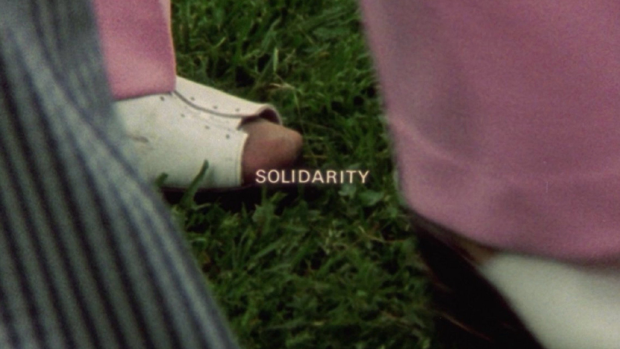 Solidarity's poster