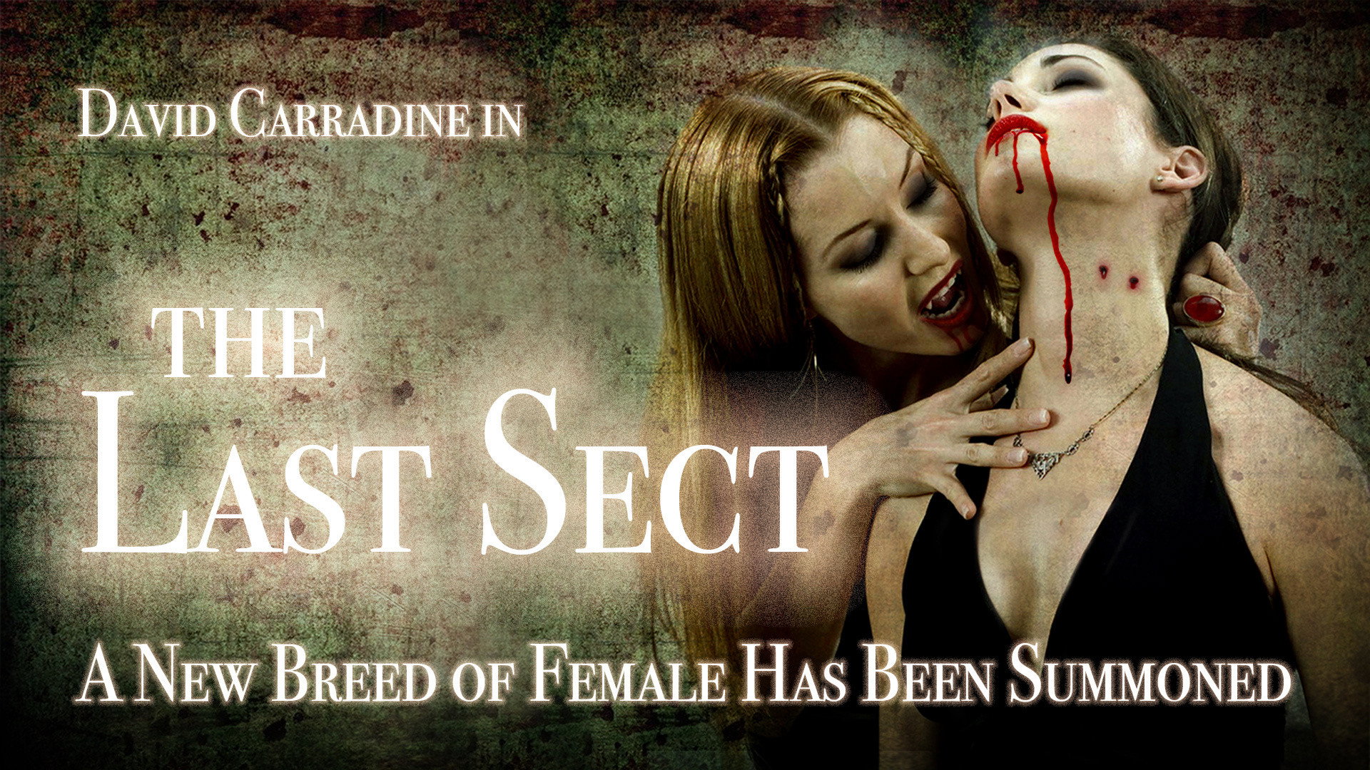 The Last Sect's poster