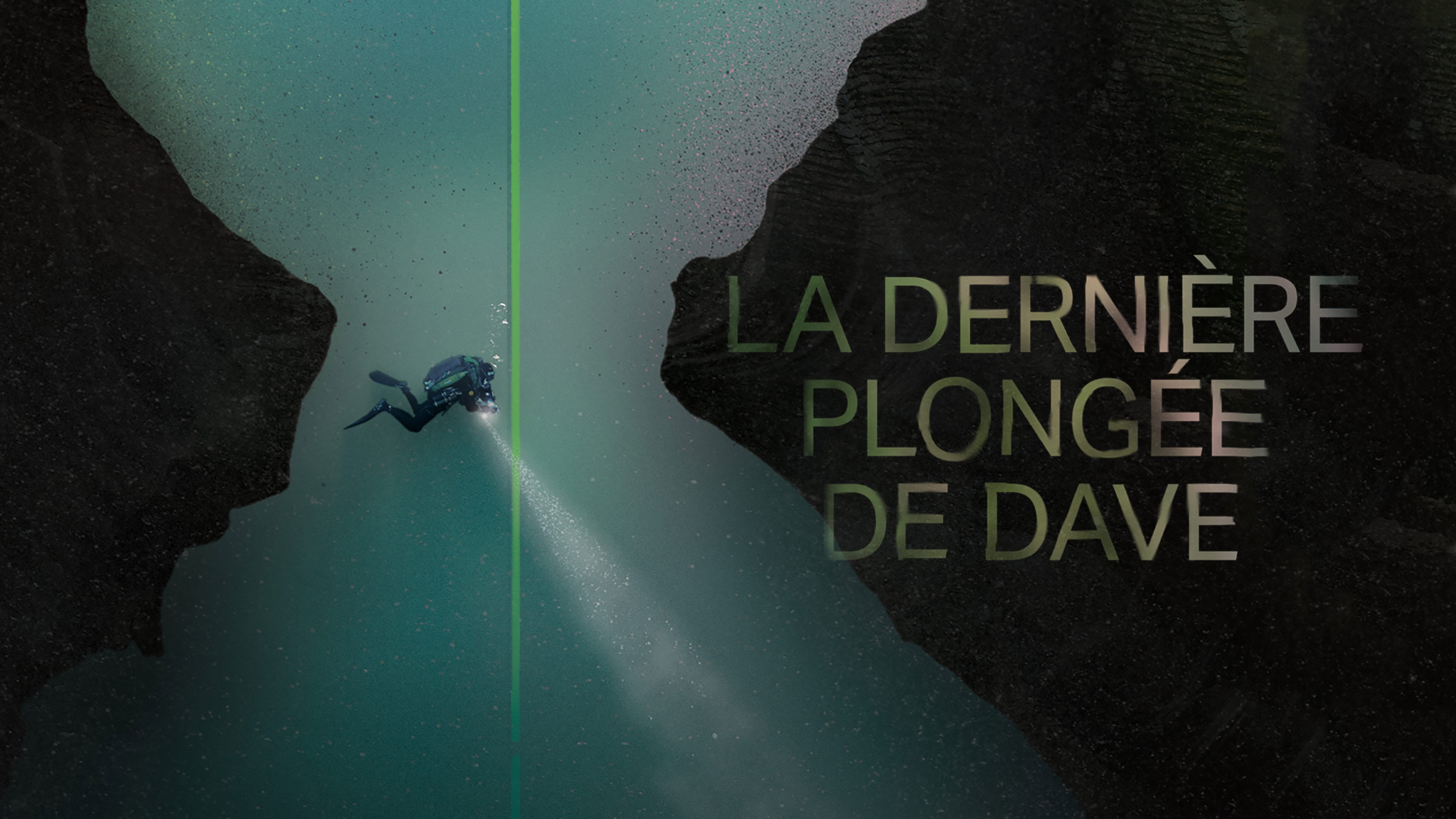 Dave Not Coming Back's poster